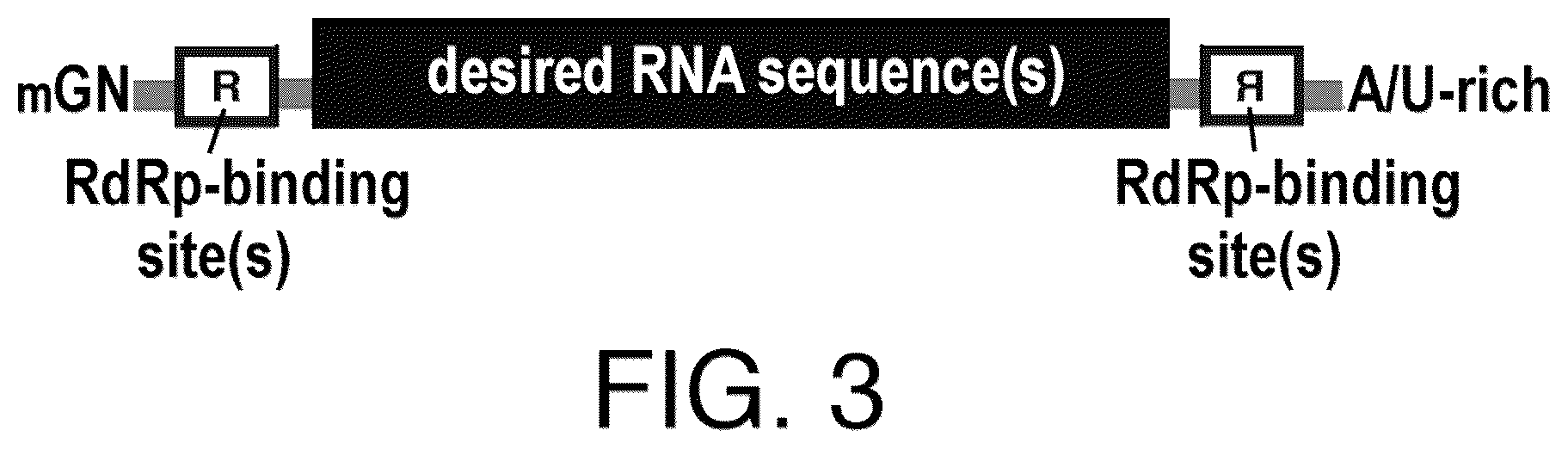 Patent US12618068 Figure 3 – Replicase cycling reaction (RCR) and the related SamRNA designs thereof