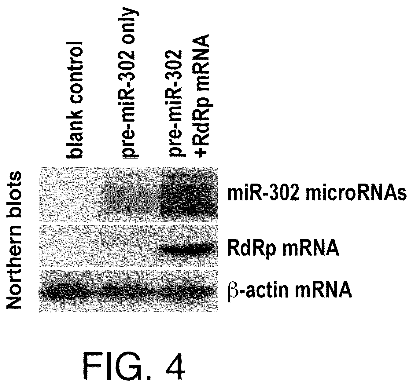 Patent US12618068 Figure 4 – Replicase cycling reaction (RCR) and the related SamRNA designs thereof