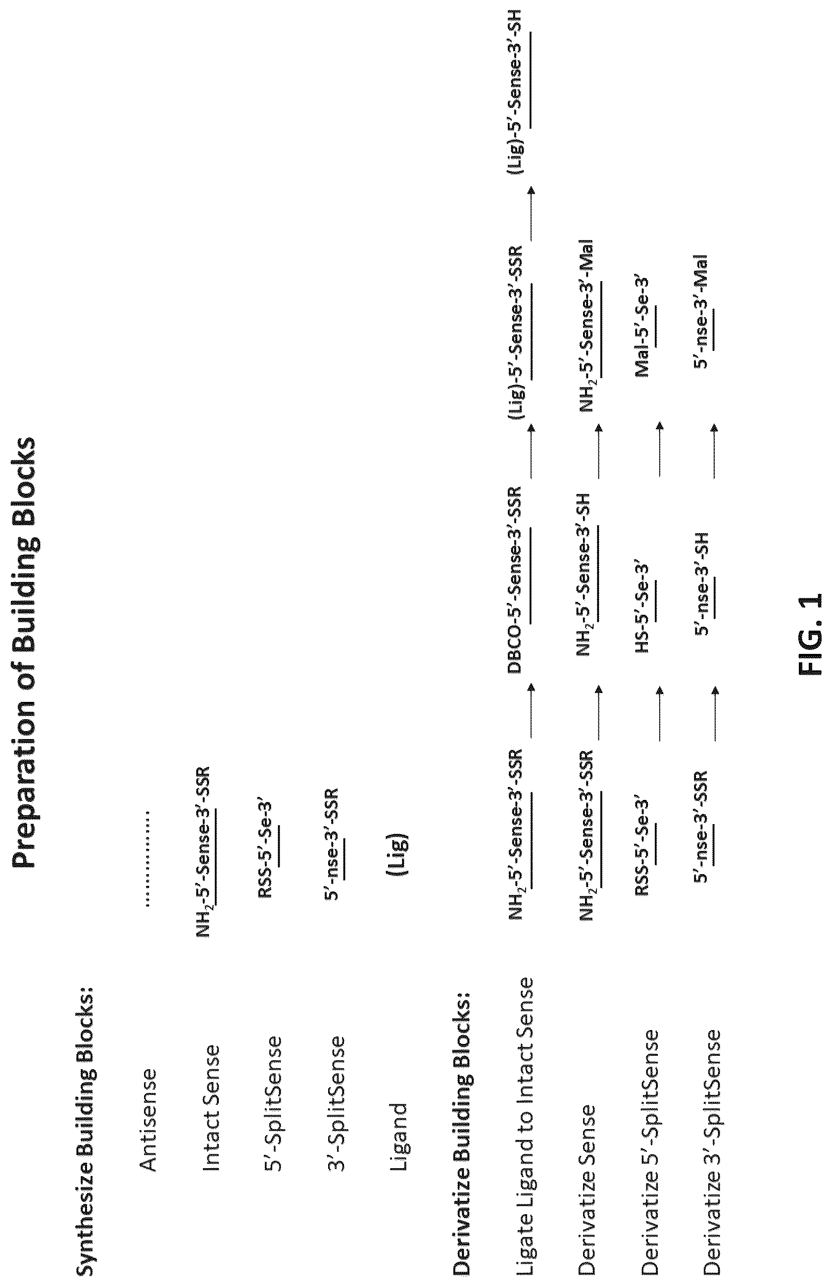 Patent US12618071 Figure 1 – Multimeric oligonucleotides with divided strands
