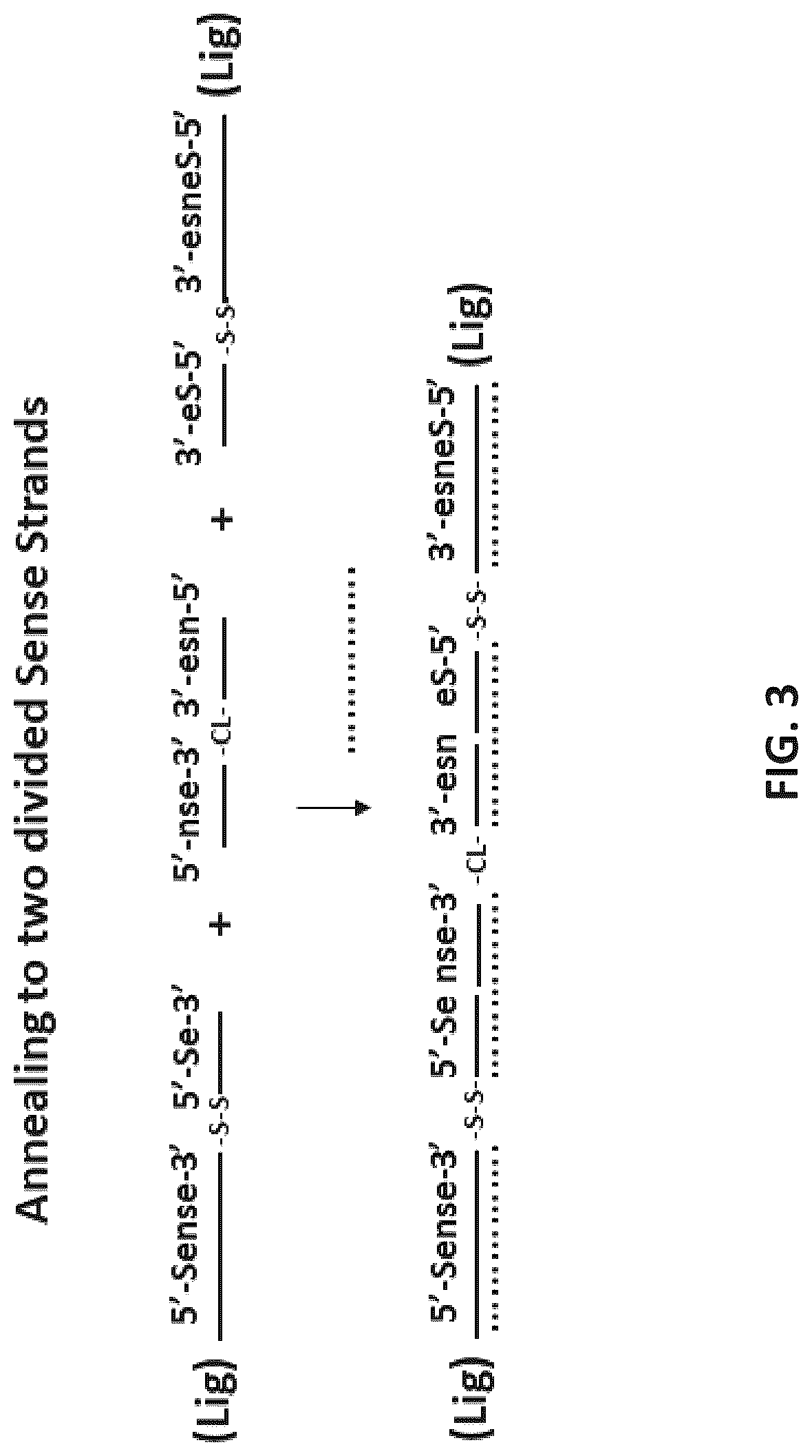 Patent US12618071 Figure 3 – Multimeric oligonucleotides with divided strands
