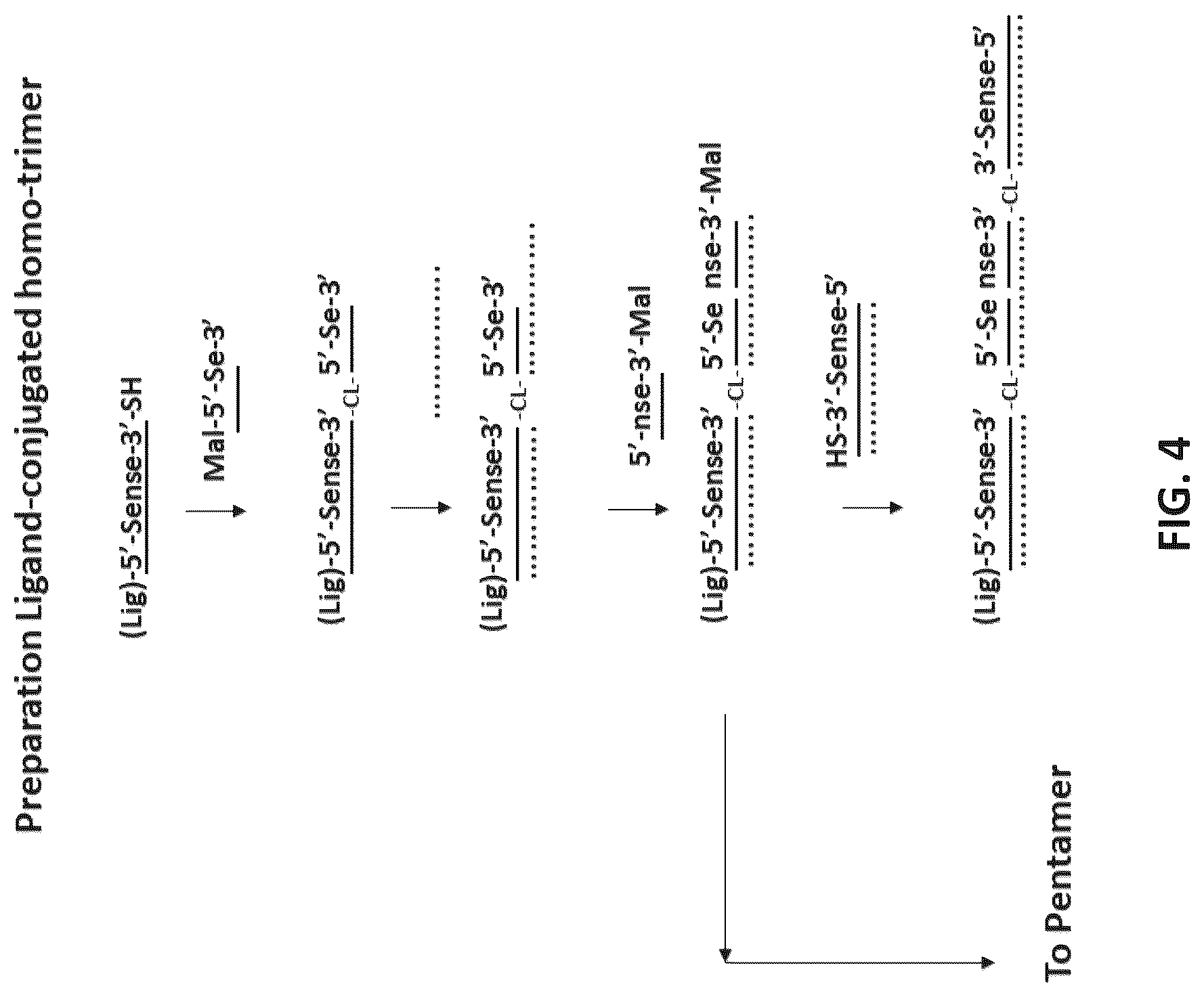Patent US12618071 Figure 4 – Multimeric oligonucleotides with divided strands