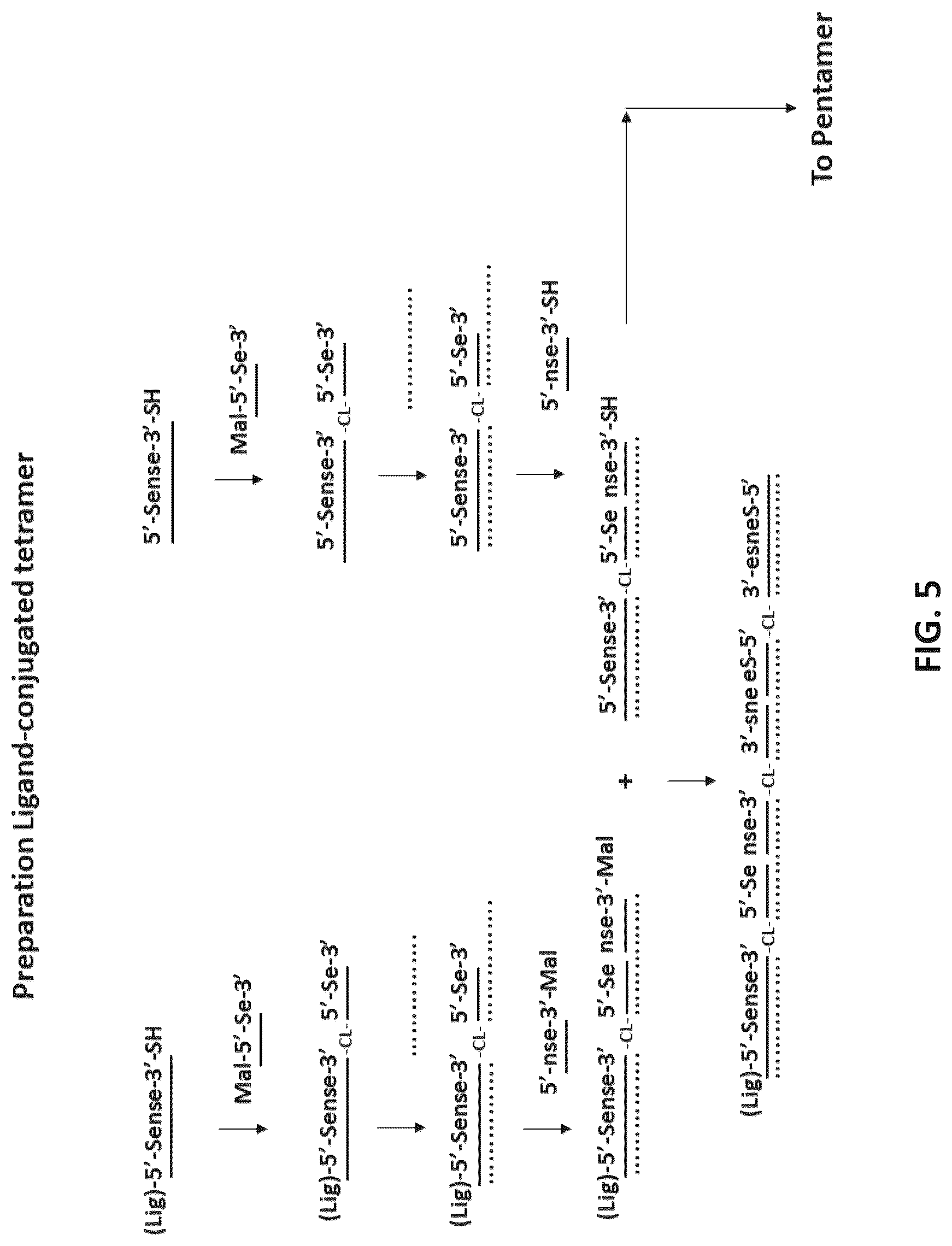 Patent US12618071 Figure 5 – Multimeric oligonucleotides with divided strands