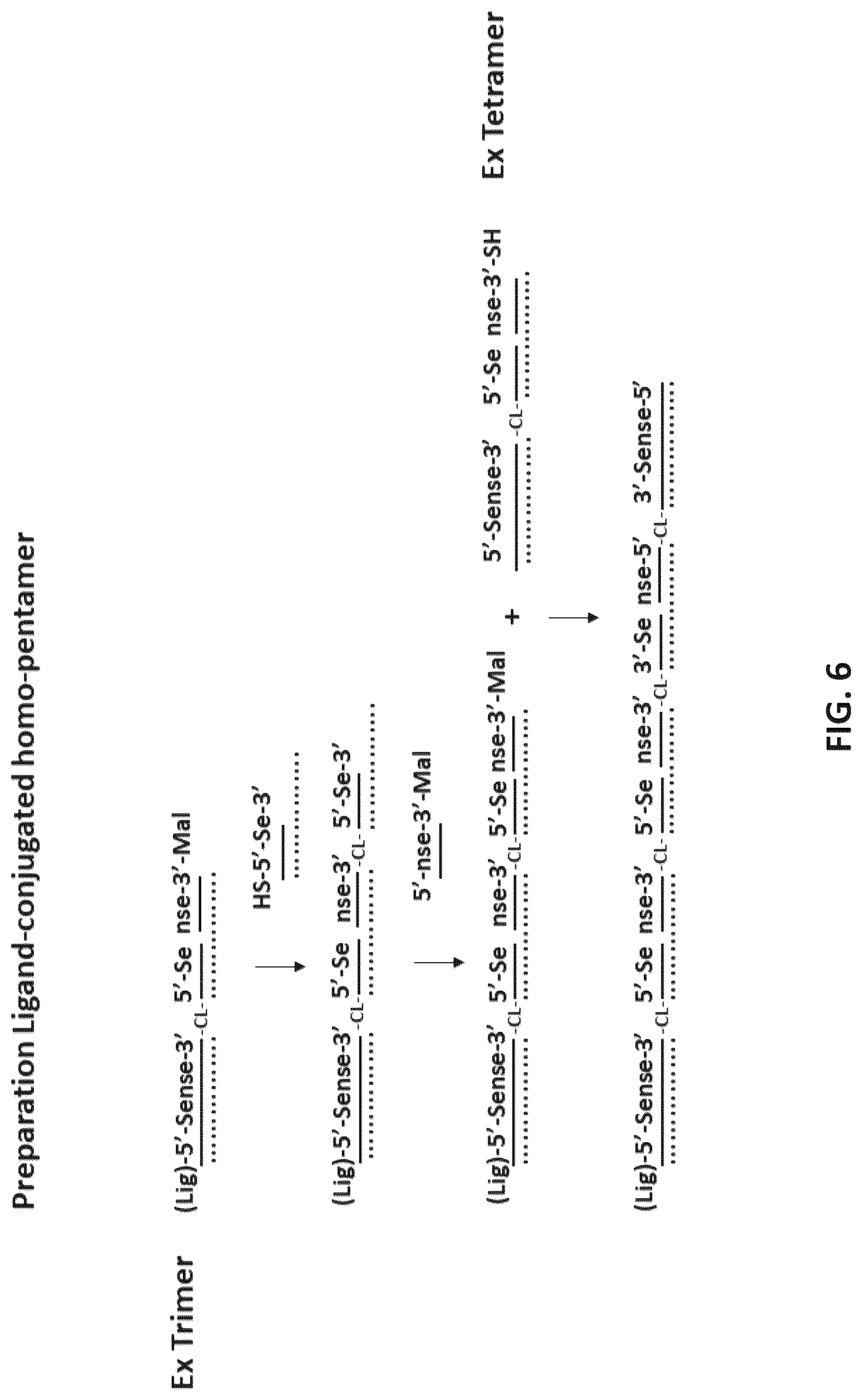 Patent US12618071 Figure 6 – Multimeric oligonucleotides with divided strands