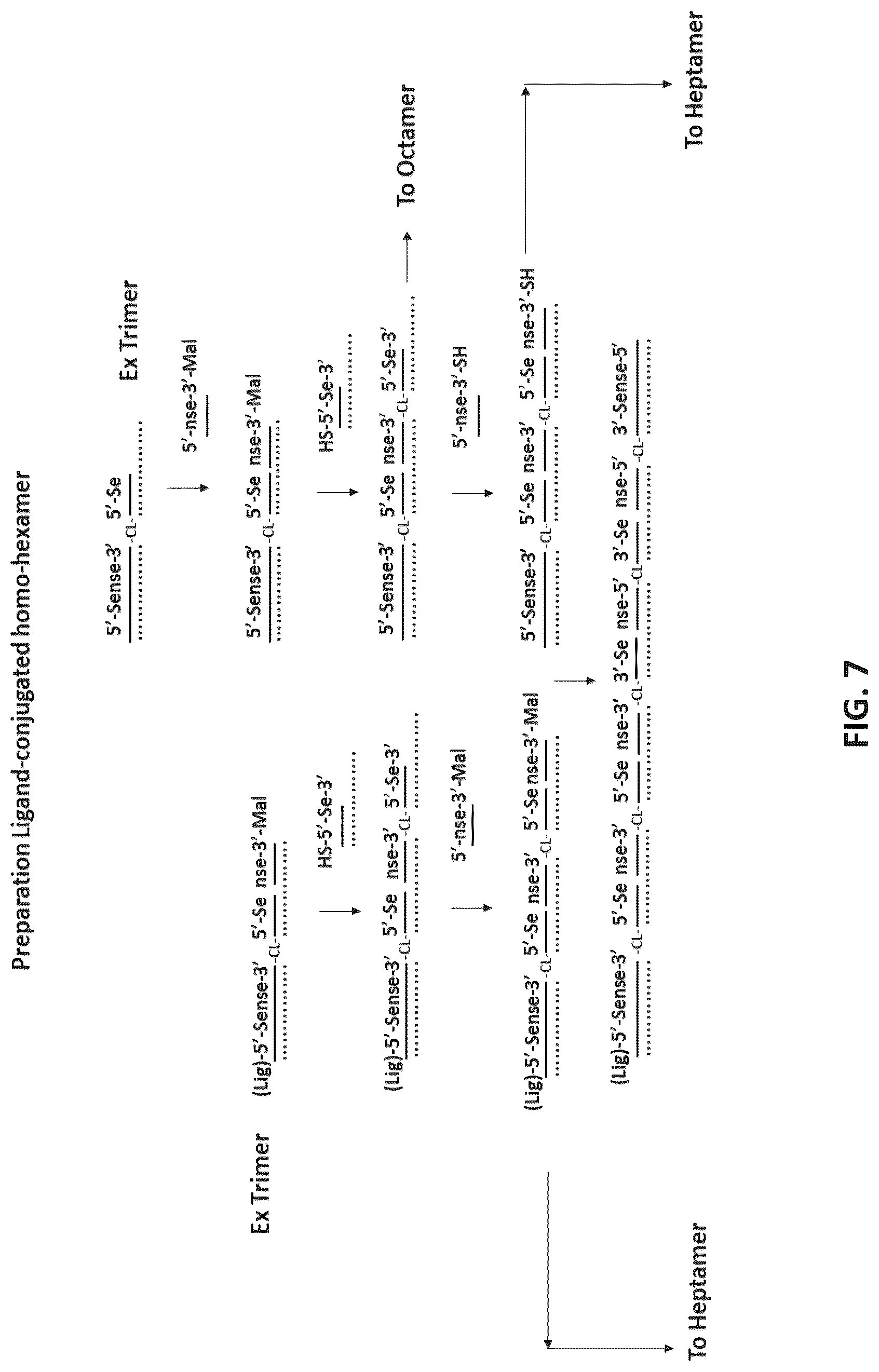 Patent US12618071 Figure 7 – Multimeric oligonucleotides with divided strands