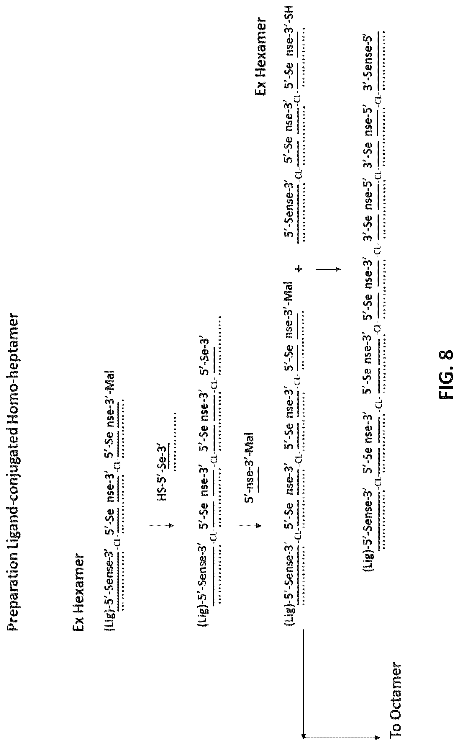 Patent US12618071 Figure 8 – Multimeric oligonucleotides with divided strands