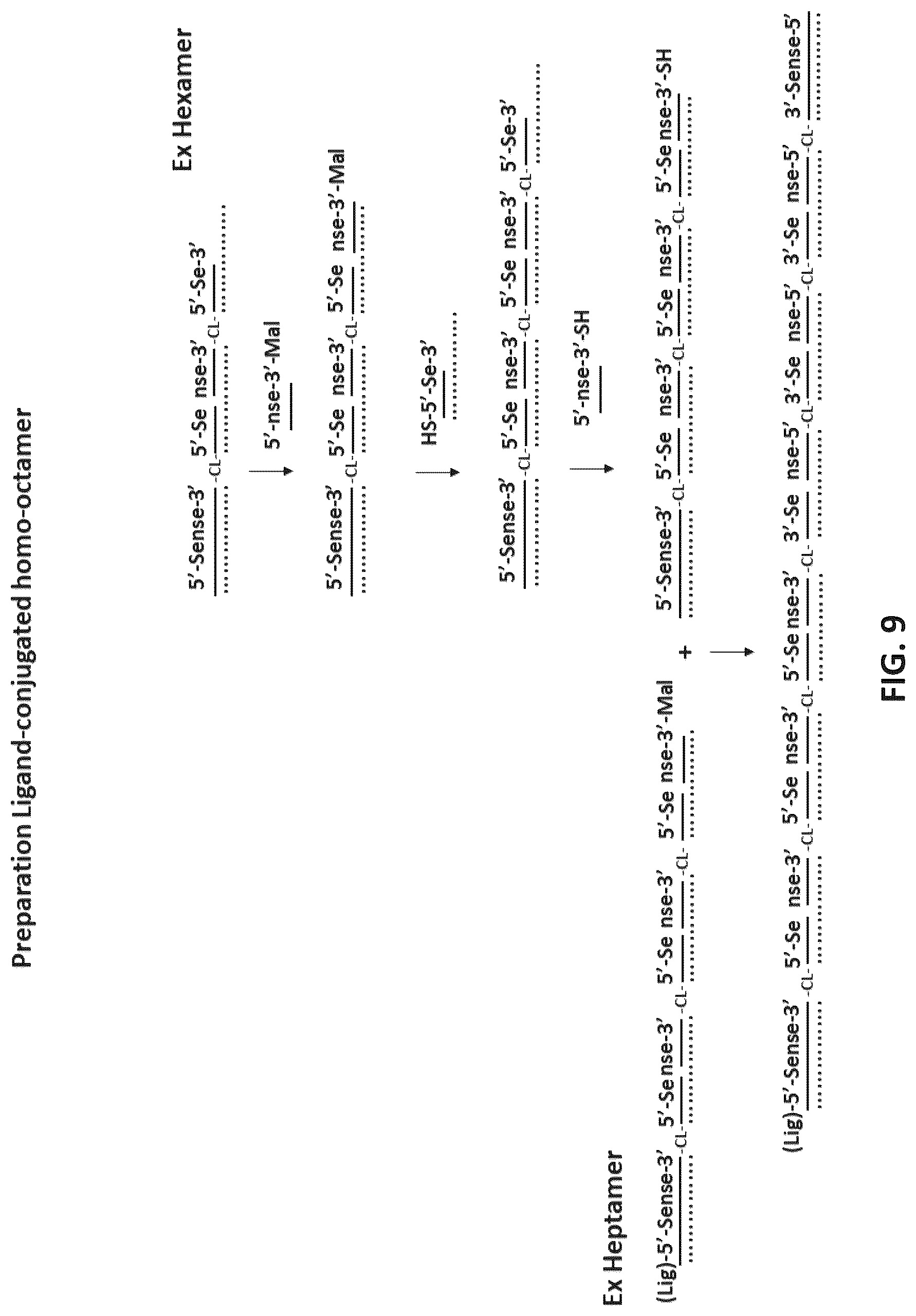 Patent US12618071 Figure 9 – Multimeric oligonucleotides with divided strands