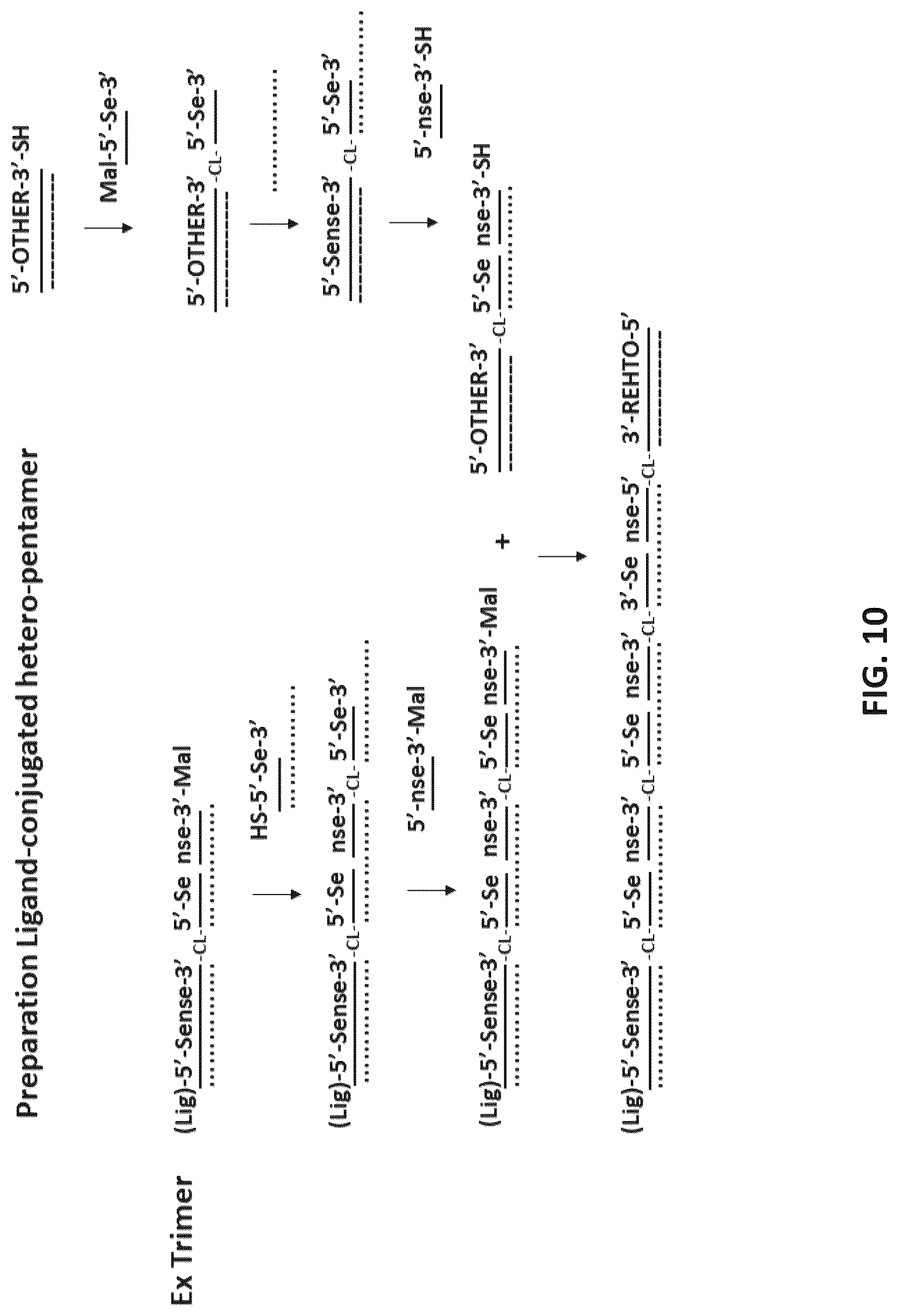 Patent US12618071 Figure 10 – Multimeric oligonucleotides with divided strands