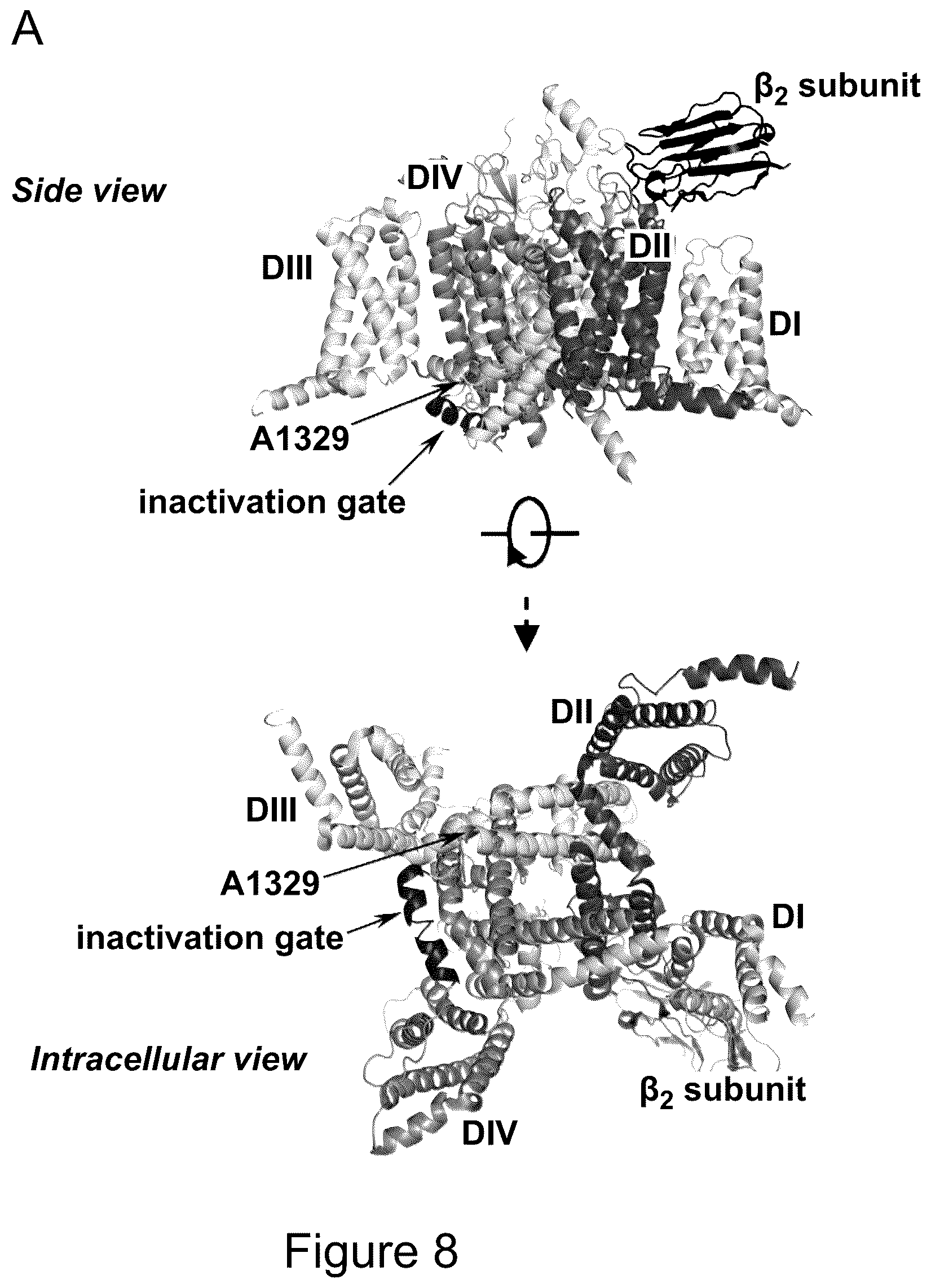 Patent US12618072 Figure 16 – Methods of treatment of SCN2A-related disorders