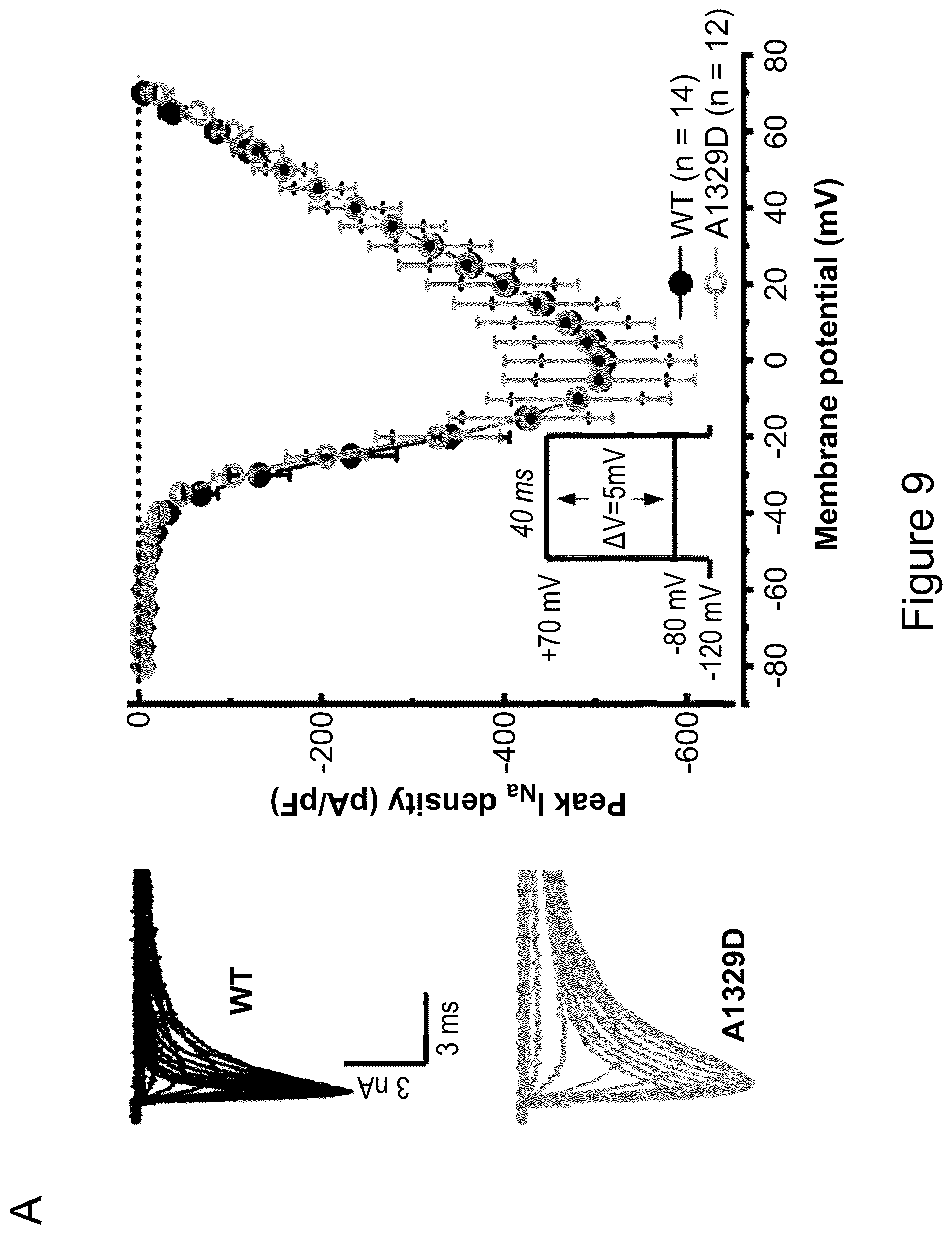 Patent US12618072 Figure 18 – Methods of treatment of SCN2A-related disorders