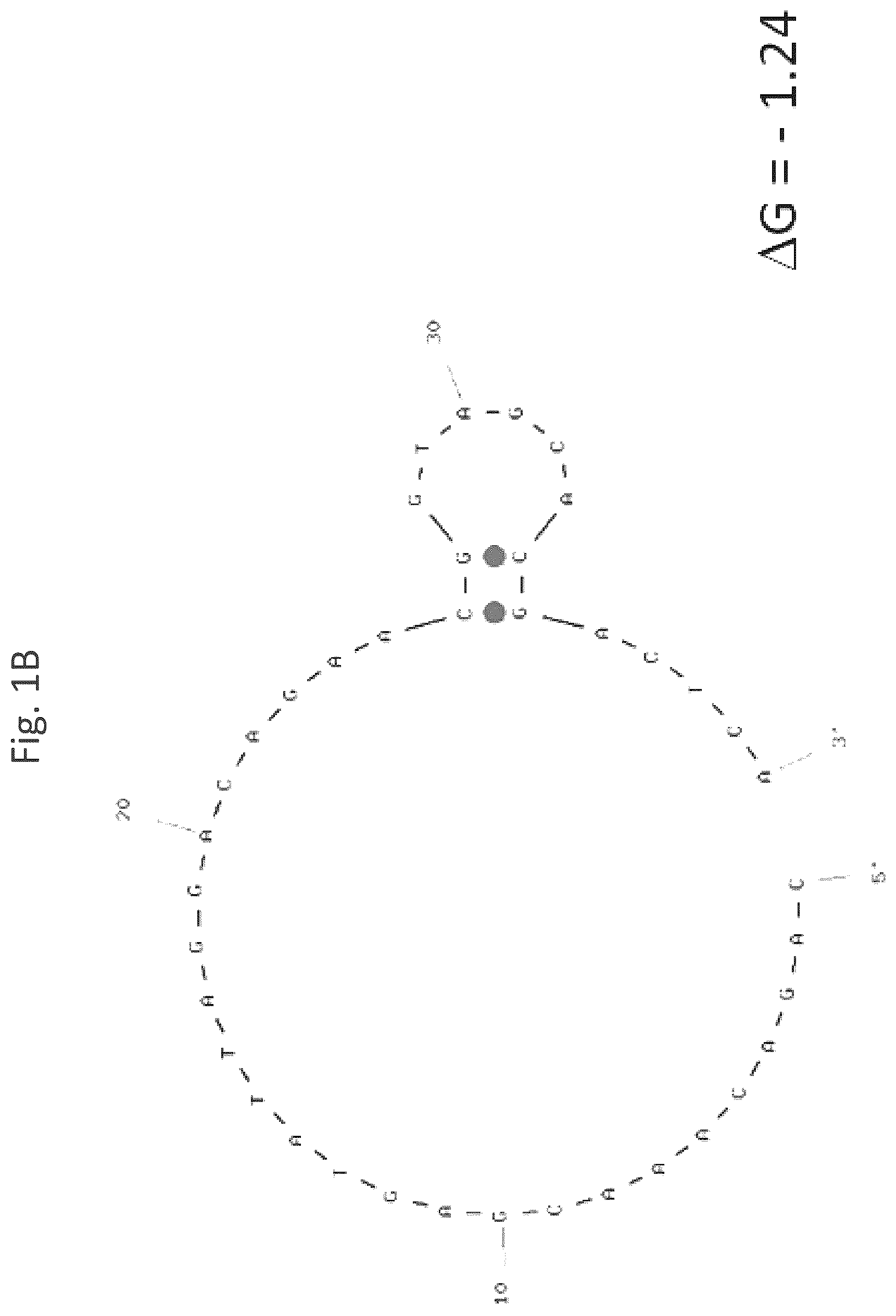 Patent US12618074 Figure 2 – CD40 specific DNA aptamers as vaccine adjuvants