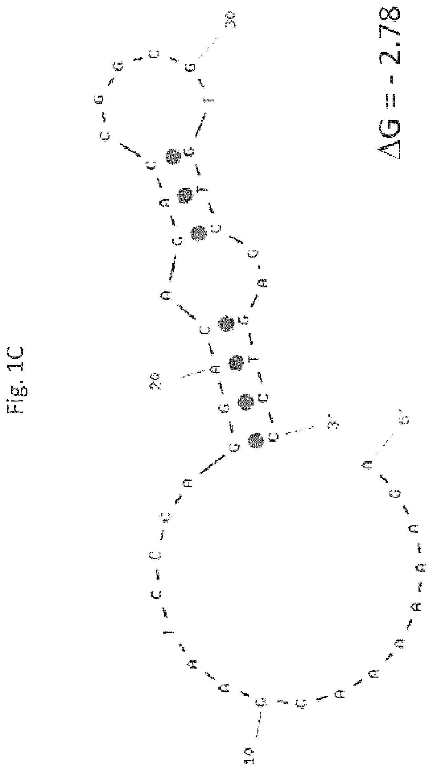 Patent US12618074 Figure 3 – CD40 specific DNA aptamers as vaccine adjuvants