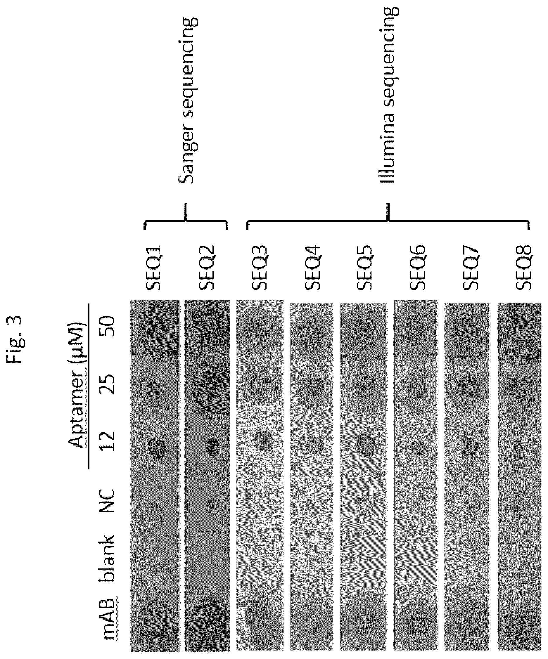 Patent US12618074 Figure 5 – CD40 specific DNA aptamers as vaccine adjuvants