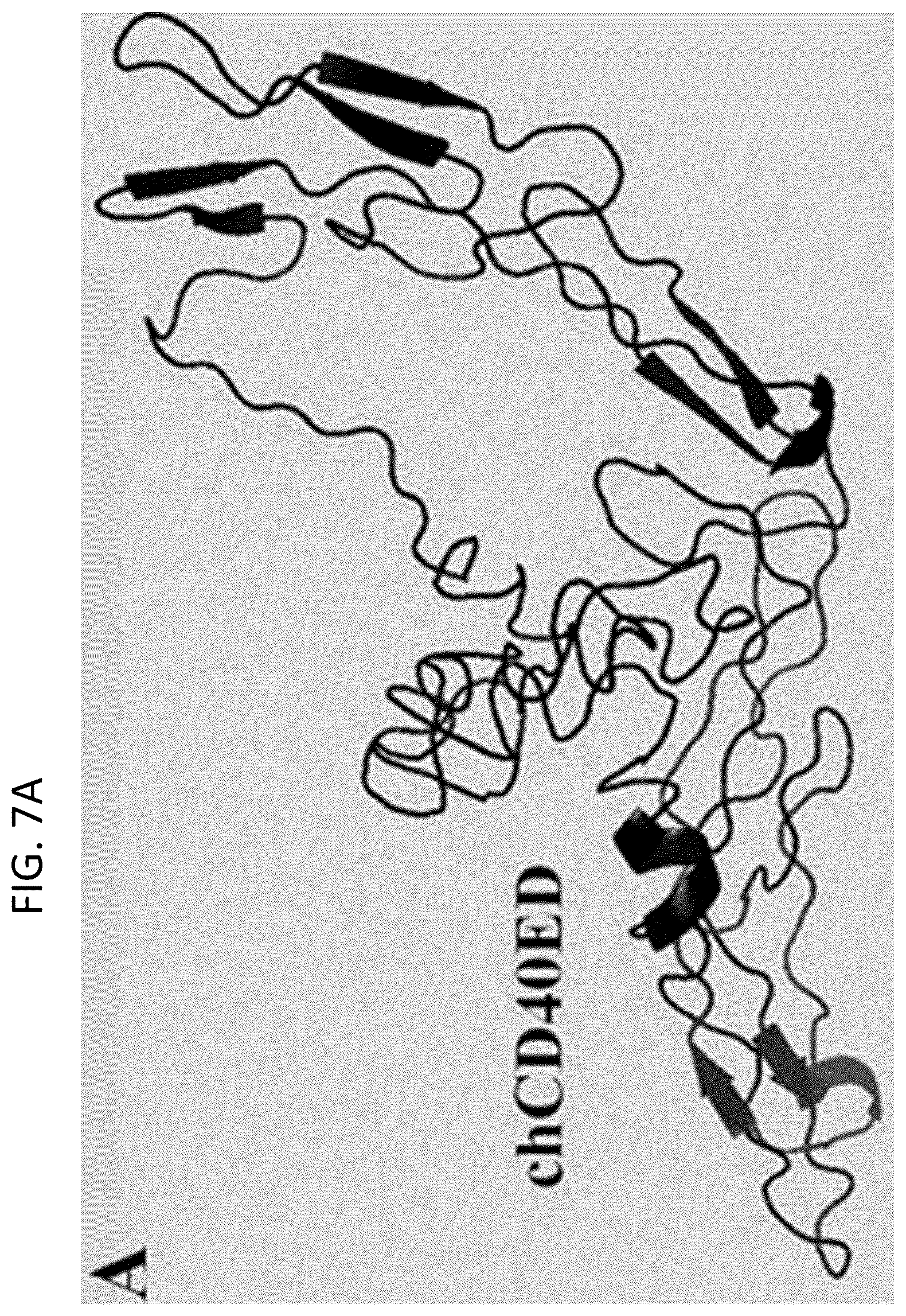 Patent US12618074 Figure 15 – CD40 specific DNA aptamers as vaccine adjuvants