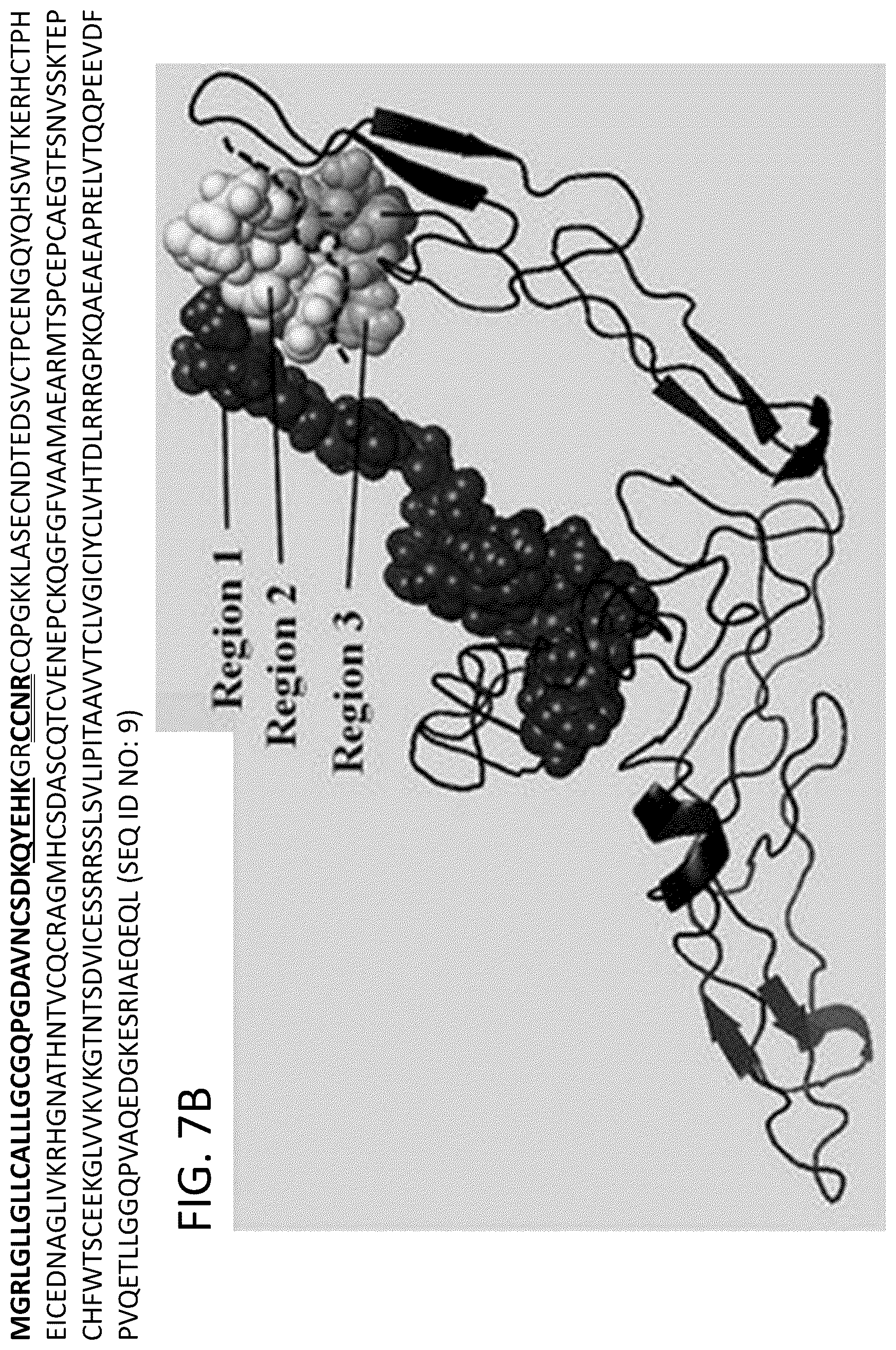 Patent US12618074 Figure 16 – CD40 specific DNA aptamers as vaccine adjuvants