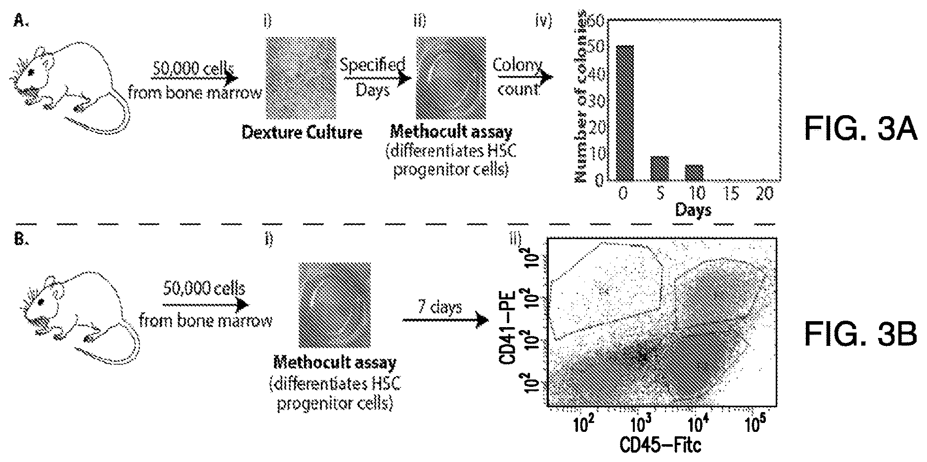 Patent US12618076 Figure 3 – Methods of engineering platelets for targeting circulating tumor cells