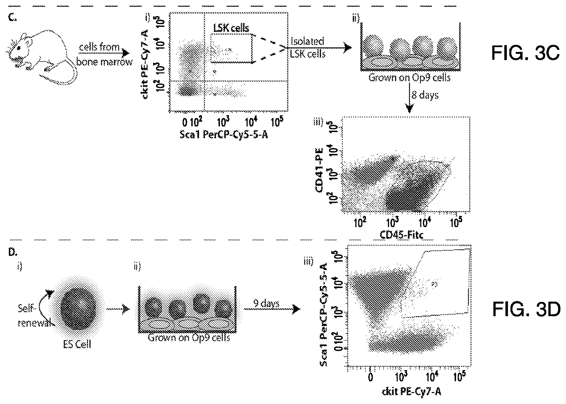 Patent US12618076 Figure 4 – Methods of engineering platelets for targeting circulating tumor cells