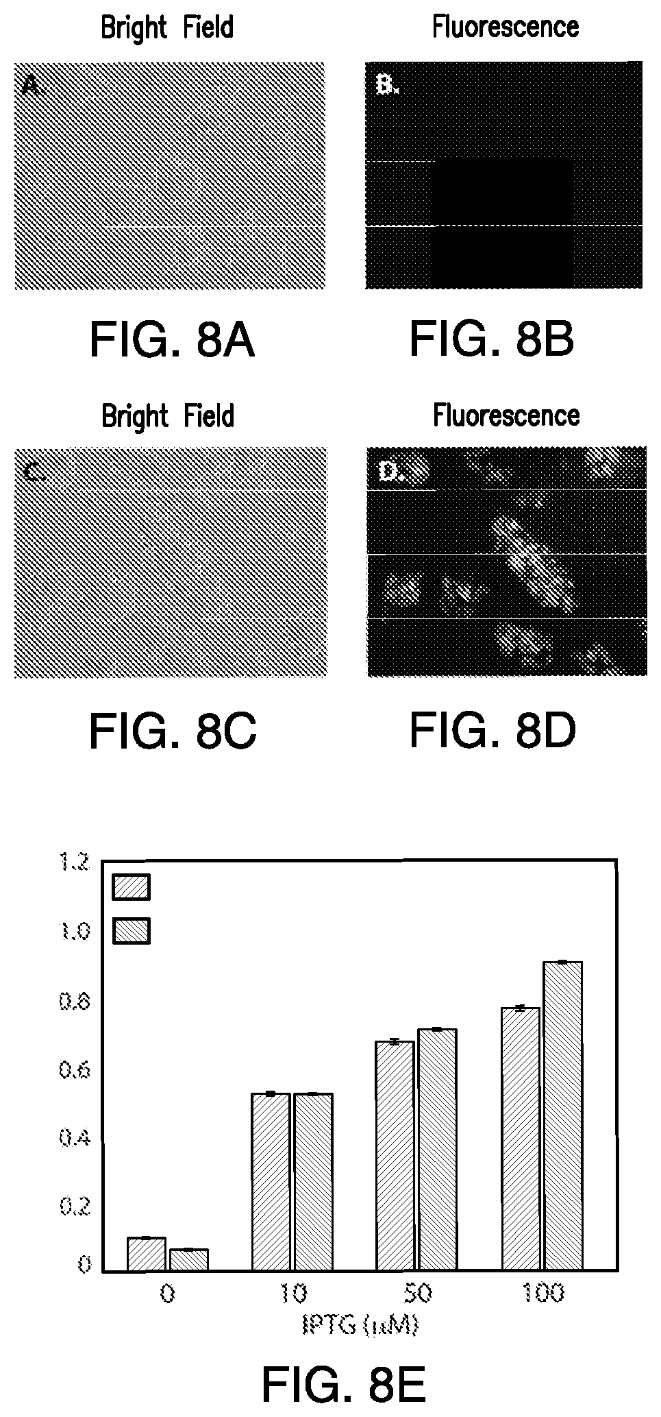 Patent US12618076 Figure 9 – Methods of engineering platelets for targeting circulating tumor cells
