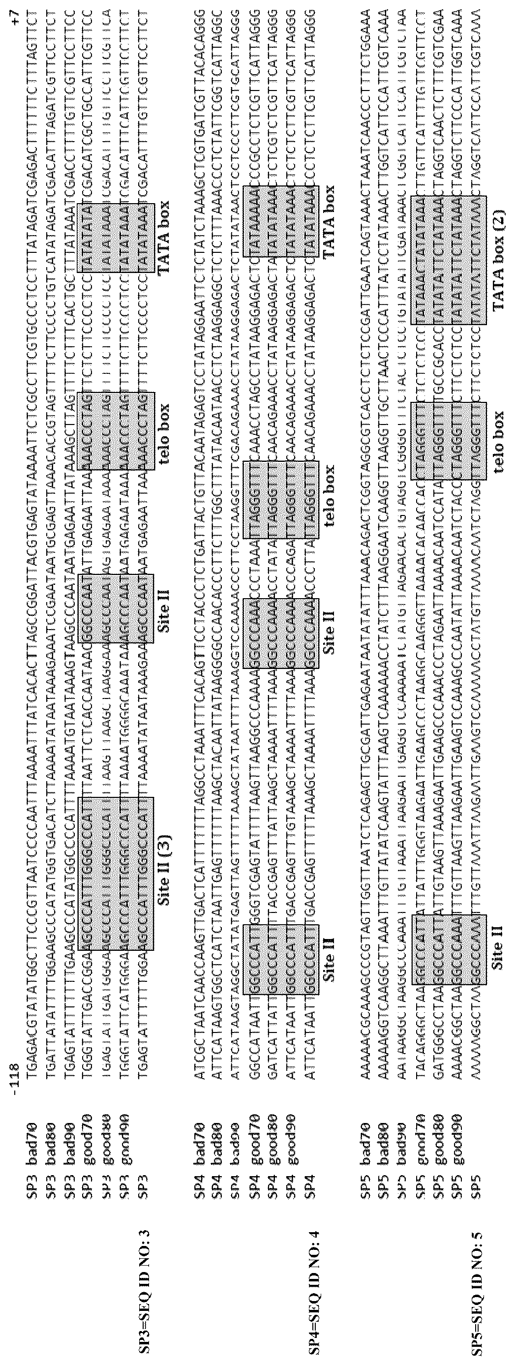 Patent US12618077 Figure 1 – Genetic regulatory elements