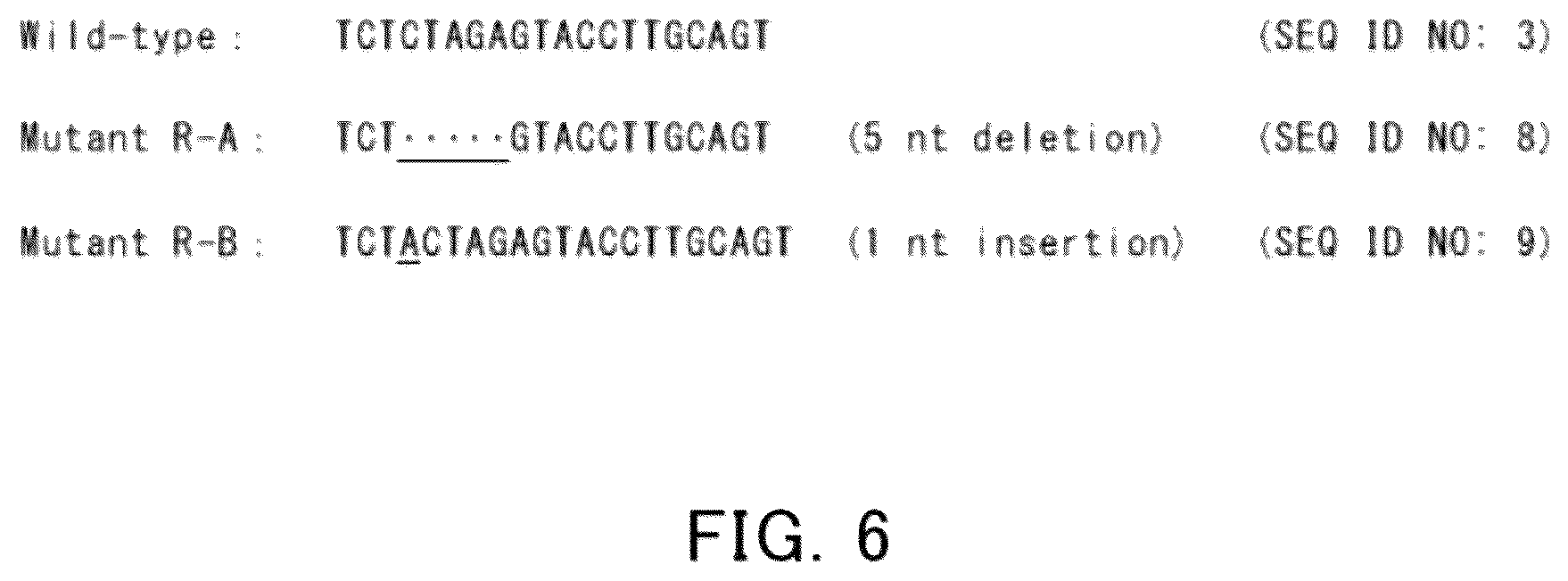 Patent US12618080 Figure 5 – Solanaceous plant and solanaceous plant cell having resistance to tomato spotted wilt virus, and method for producing solanaceous plant