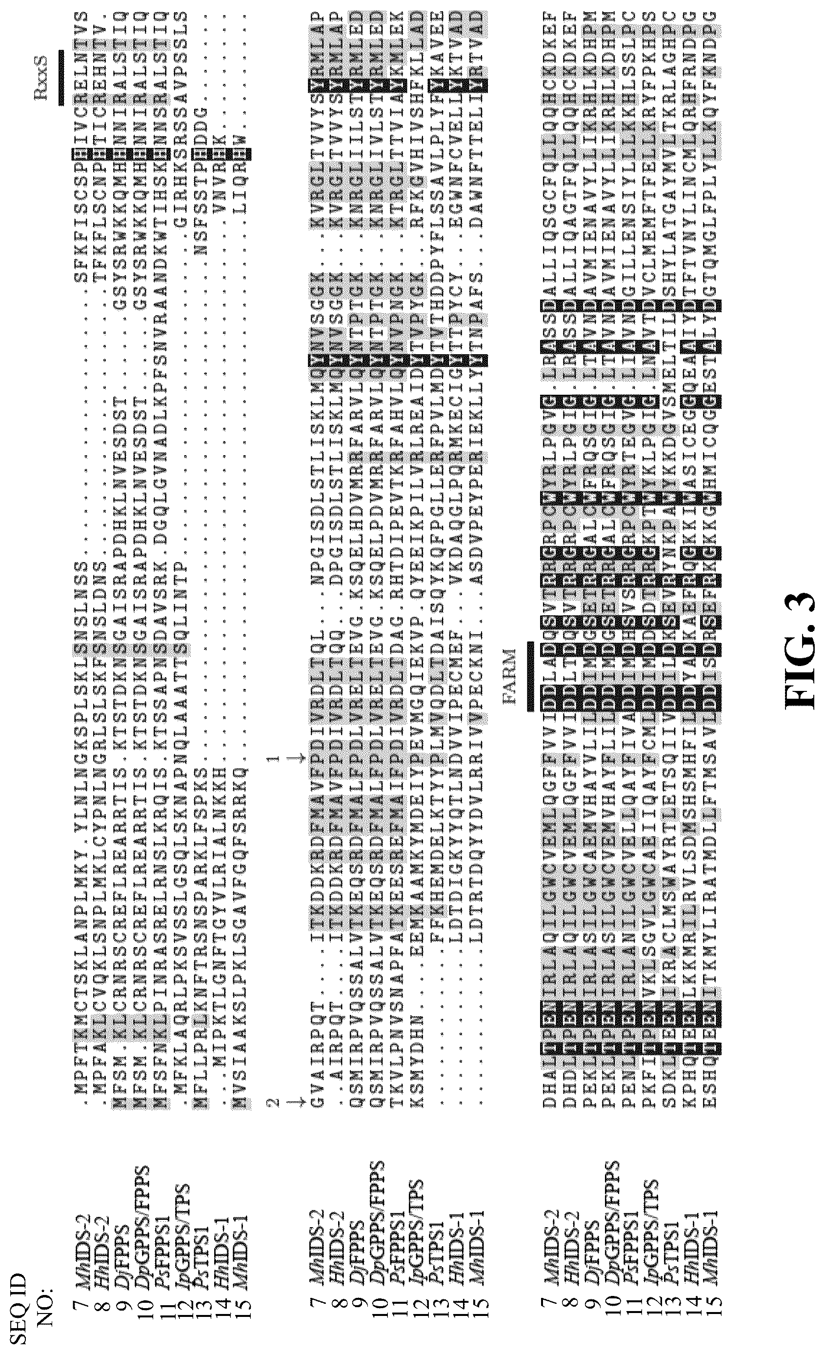Patent US12618081 Figure 4 – Brown marmorated and harlequin stink bug pheromone enzyme synthesis and uses thereof