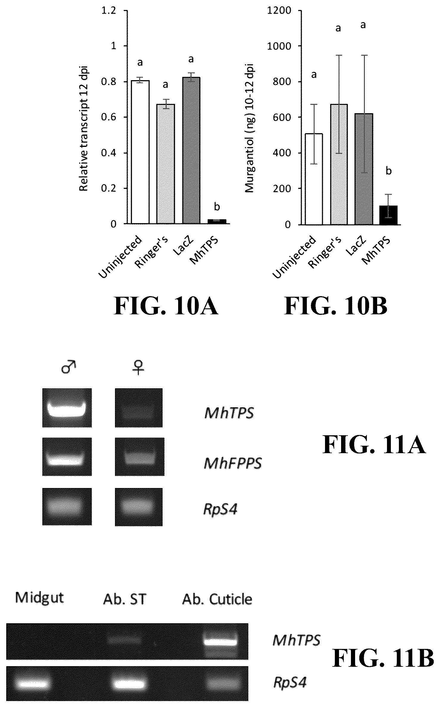 Patent US12618081 Figure 13 – Brown marmorated and harlequin stink bug pheromone enzyme synthesis and uses thereof