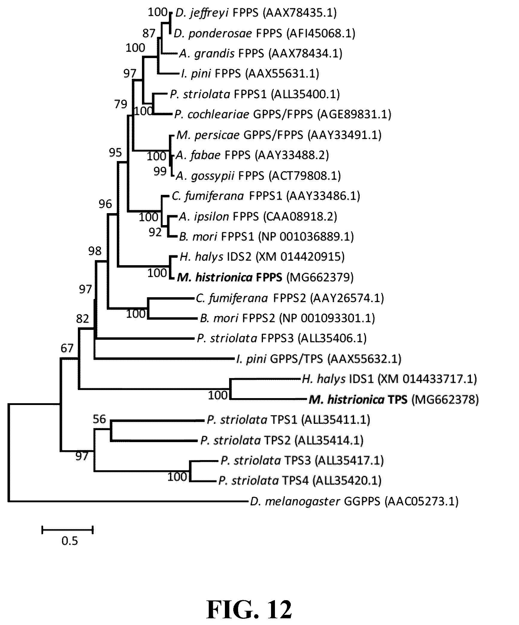 Patent US12618081 Figure 14 – Brown marmorated and harlequin stink bug pheromone enzyme synthesis and uses thereof
