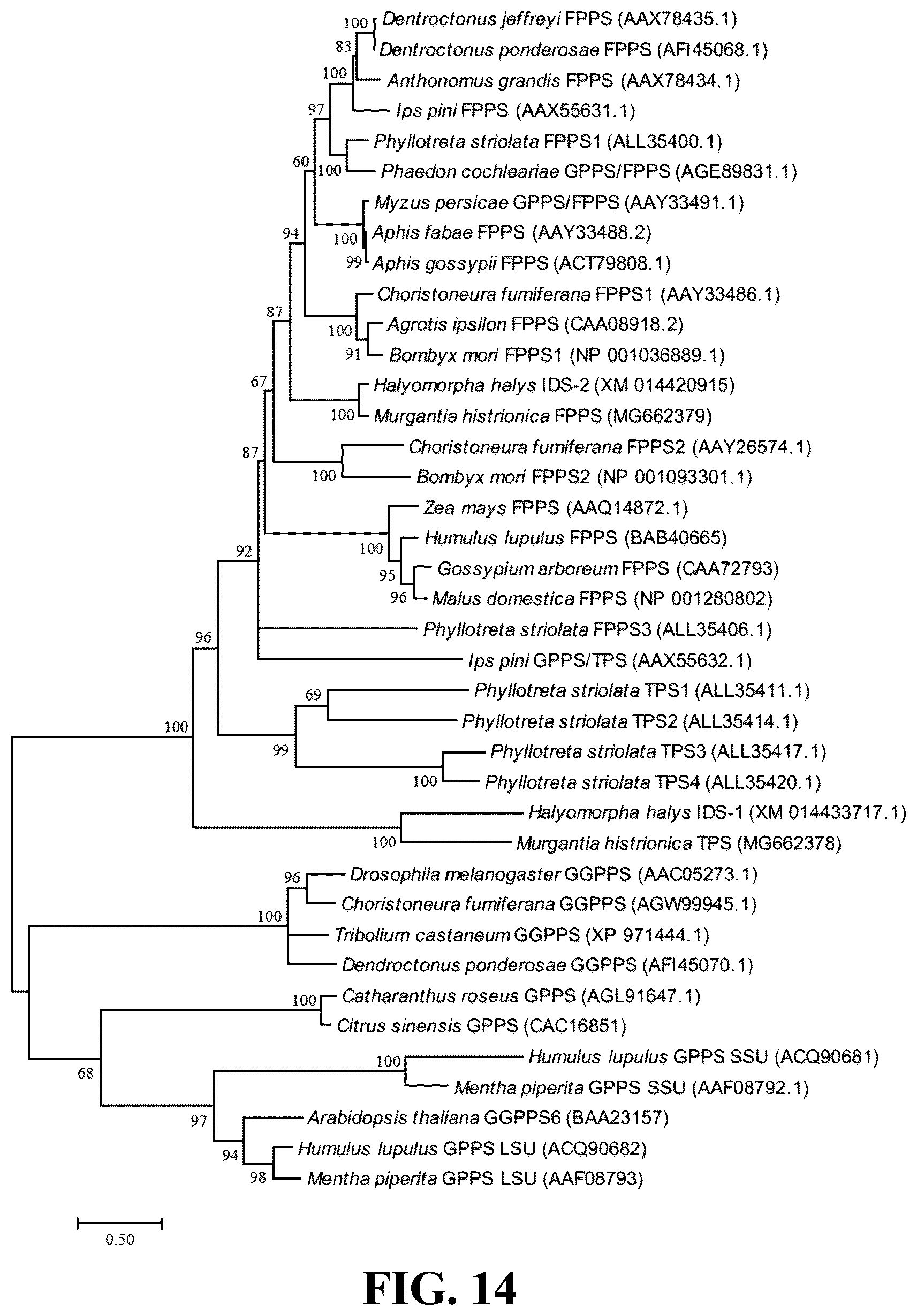 Patent US12618081 Figure 16 – Brown marmorated and harlequin stink bug pheromone enzyme synthesis and uses thereof