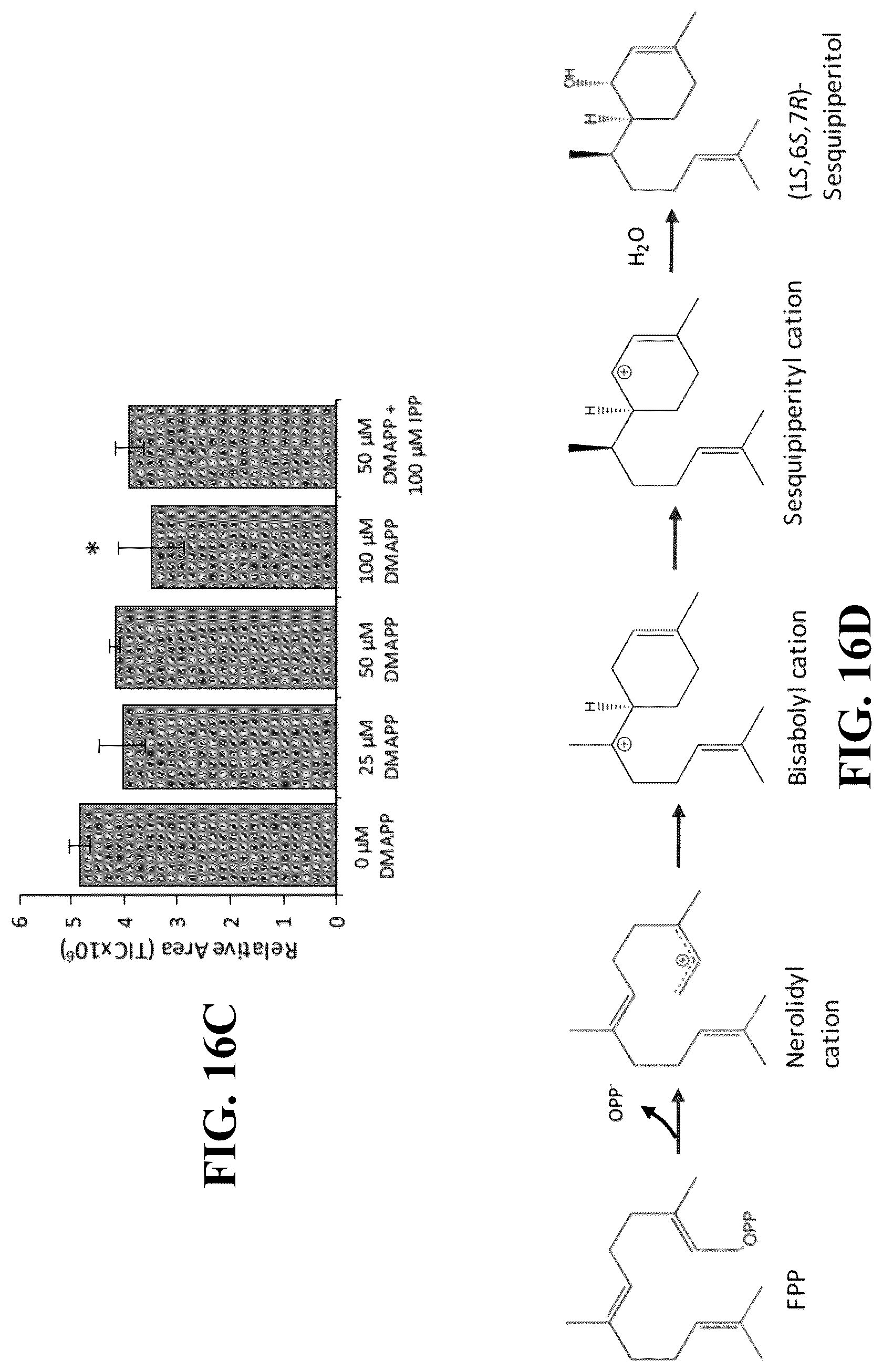 Patent US12618081 Figure 20 – Brown marmorated and harlequin stink bug pheromone enzyme synthesis and uses thereof