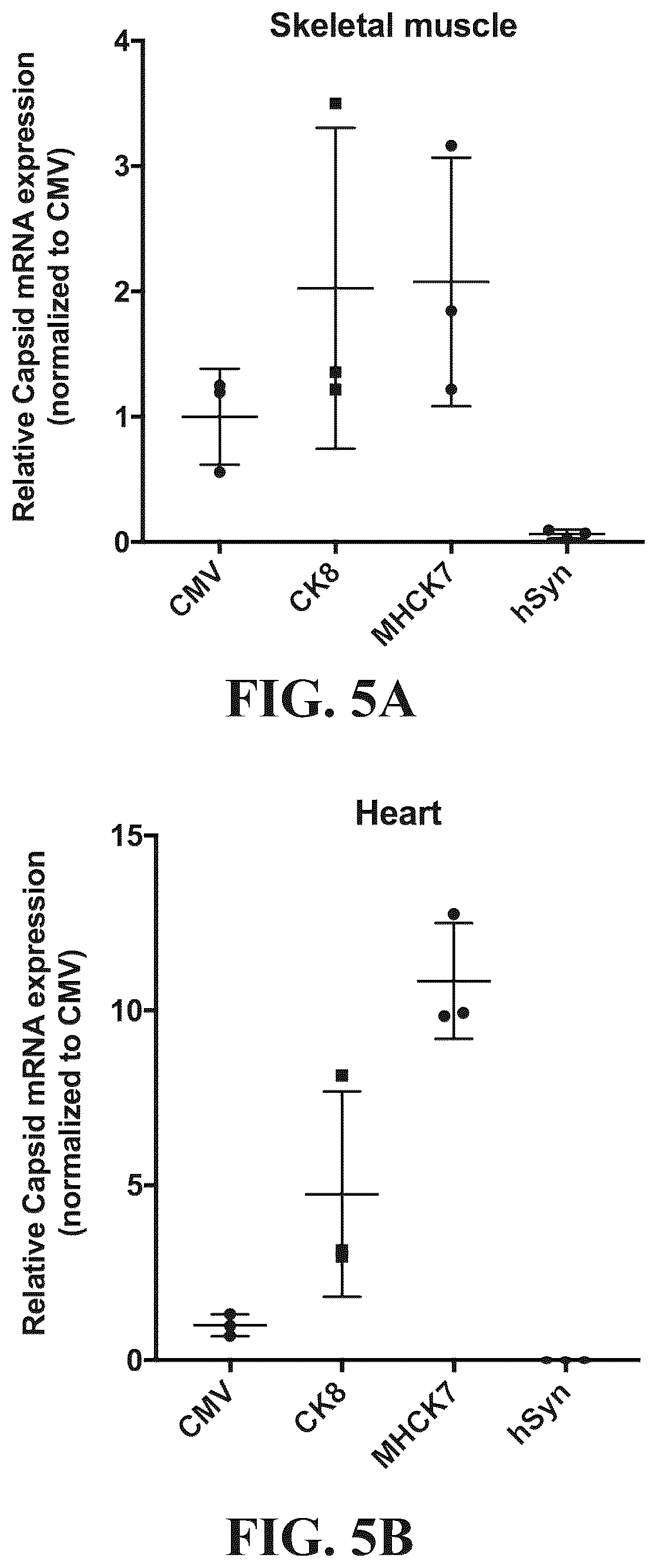 Patent US12618082 Figure 5 – Engineered muscle targeting compositions