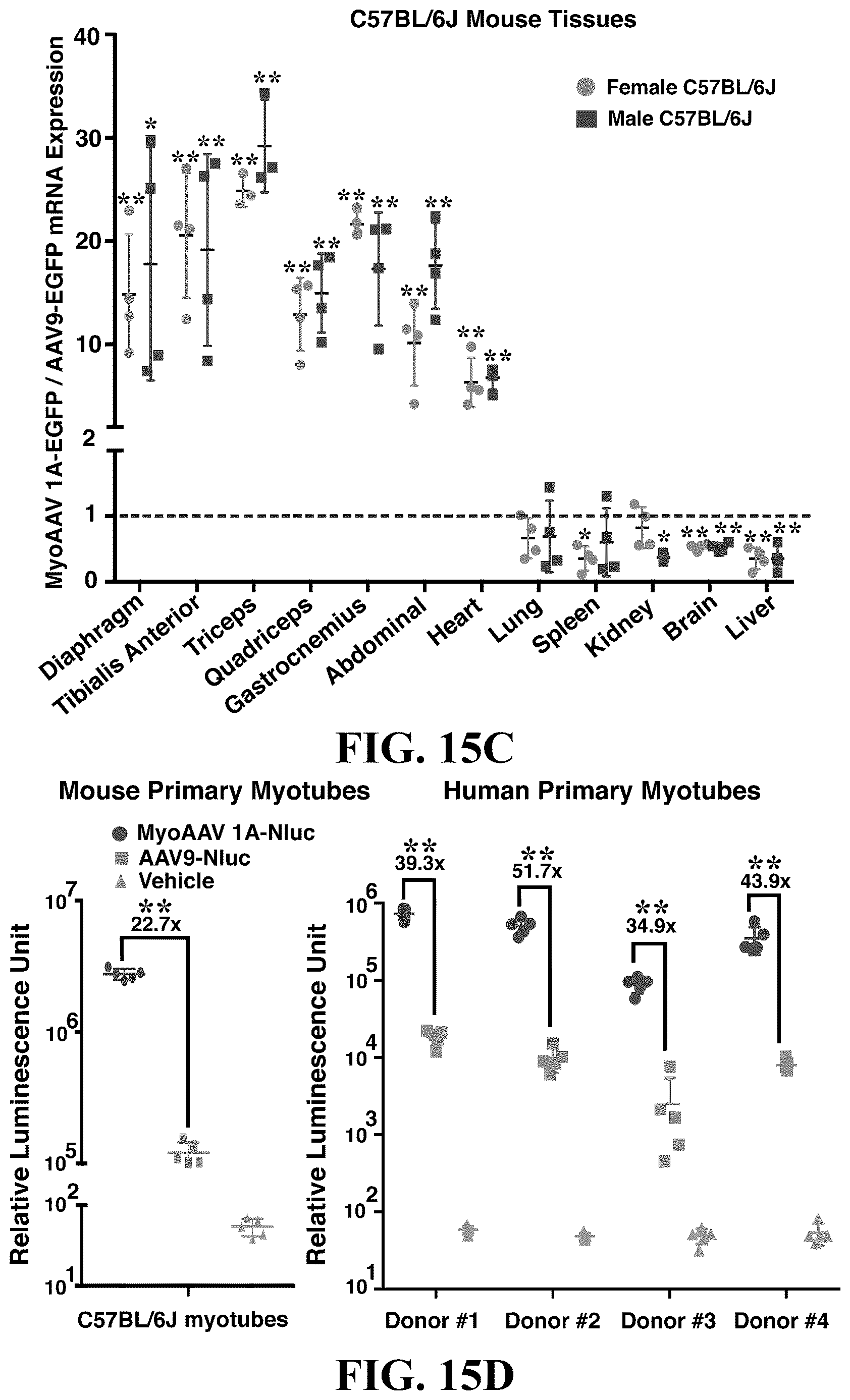 Patent US12618082 Figure 18 – Engineered muscle targeting compositions
