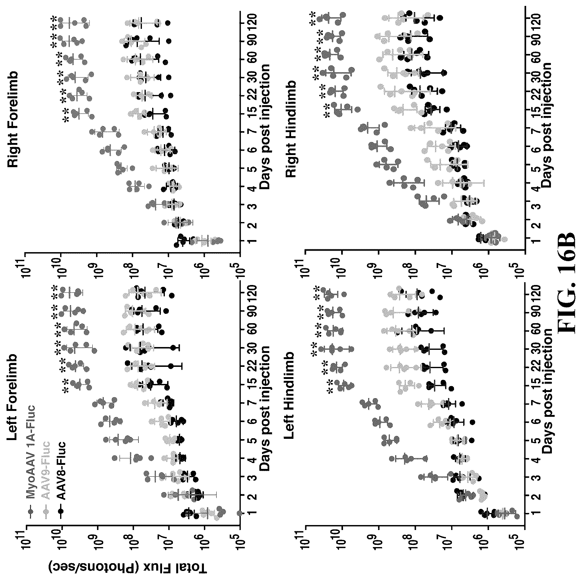Patent US12618082 Figure 20 – Engineered muscle targeting compositions