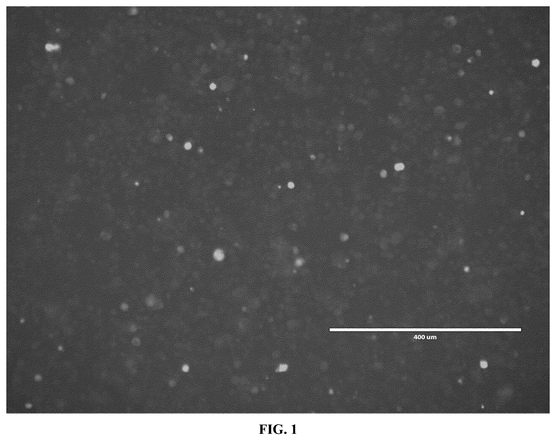 Patent US12618083 Figure 1 – Recombinant adenovirus expressing African swine fever virus EP153R-EP402R protein and construction method thereof