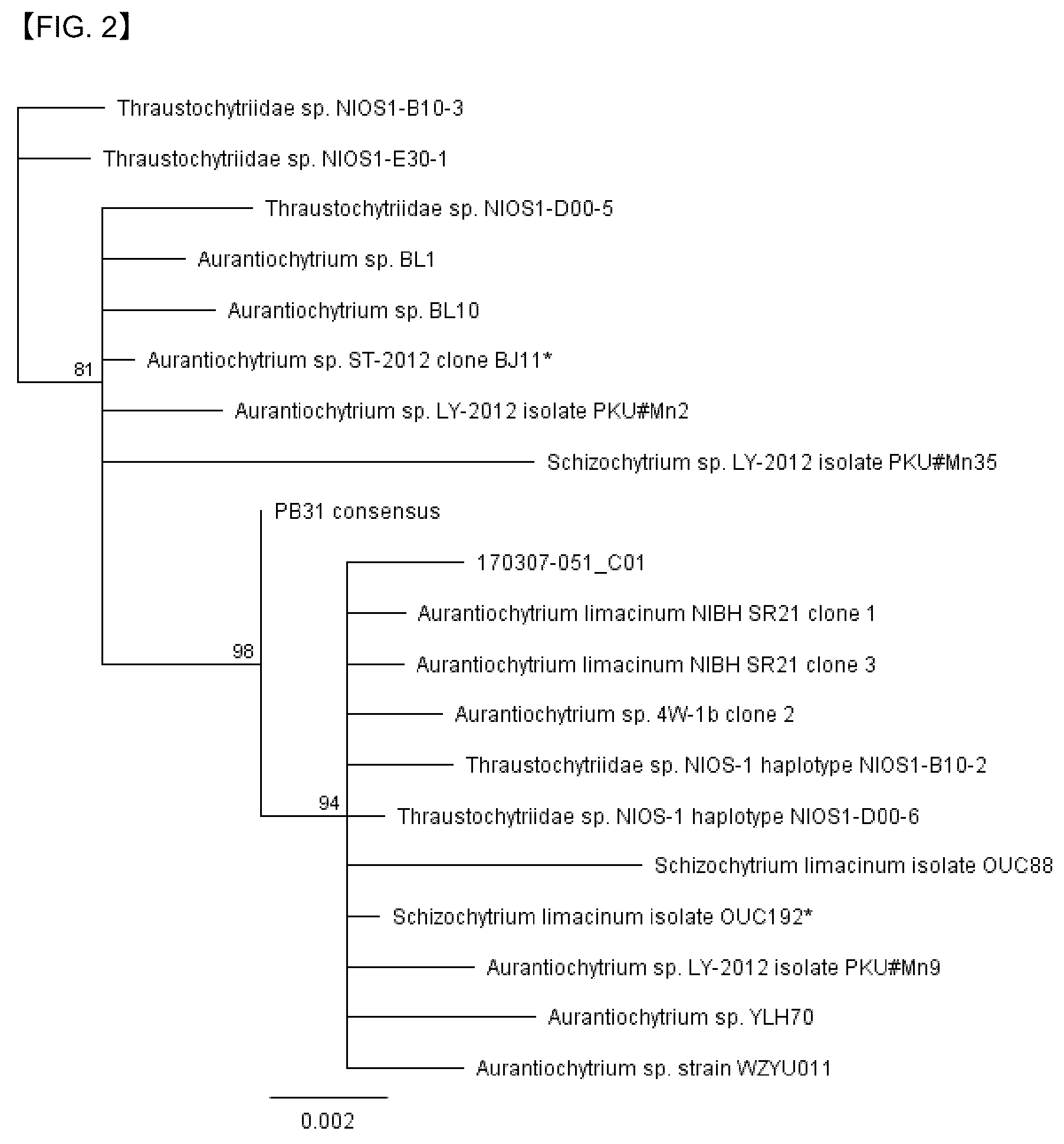 Patent US12618087 Figure 2 – Thraustochytrid strain genetically engineered for the production of biomaterials including long-chain polyunsaturated fatty acids