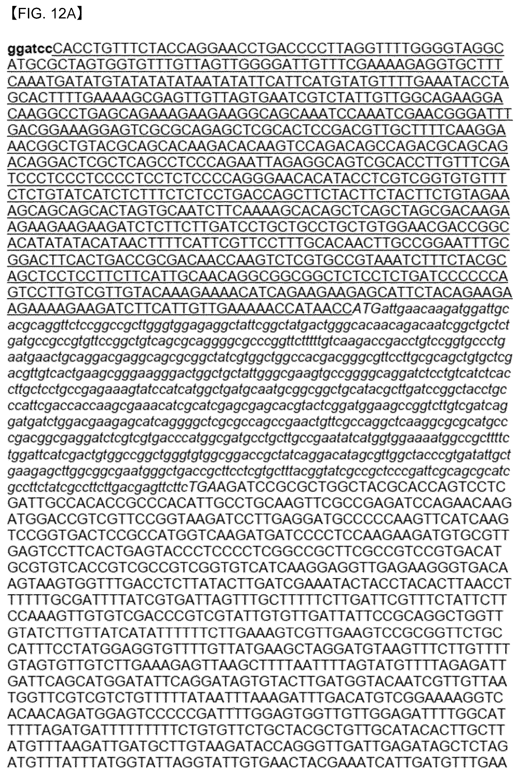 Patent US12618087 Figure 8 – Thraustochytrid strain genetically engineered for the production of biomaterials including long-chain polyunsaturated fatty acids