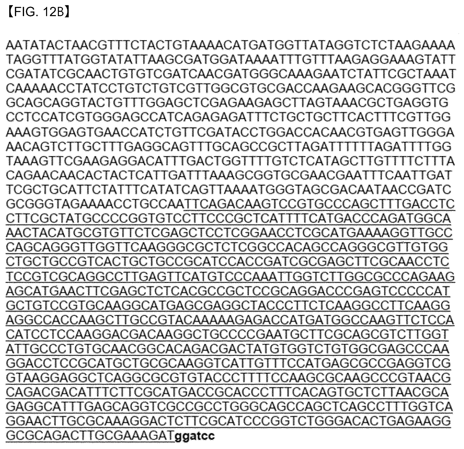 Patent US12618087 Figure 9 – Thraustochytrid strain genetically engineered for the production of biomaterials including long-chain polyunsaturated fatty acids