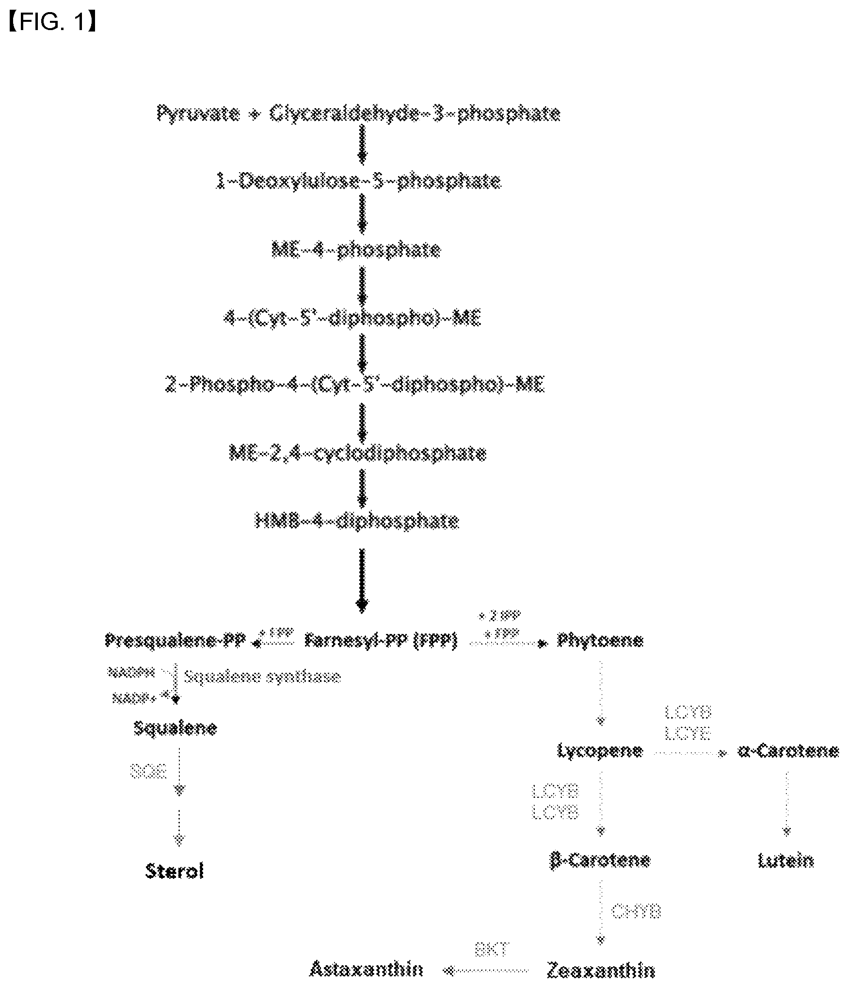 Patent US12618088 Figure 1 – Production of lipids and terpenoids in Auxenochlorella protothecoides
