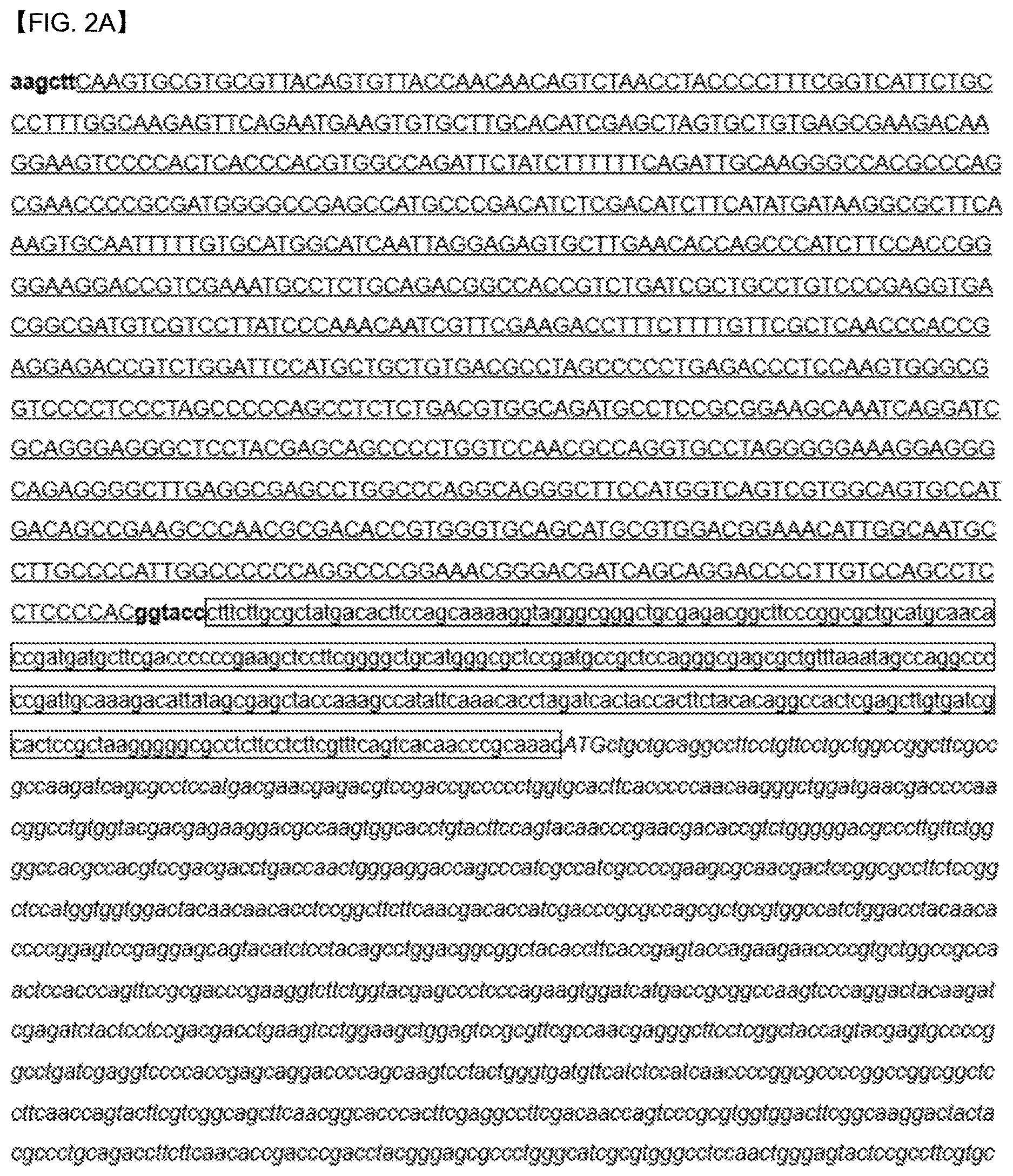 Patent US12618088 Figure 2 – Production of lipids and terpenoids in Auxenochlorella protothecoides