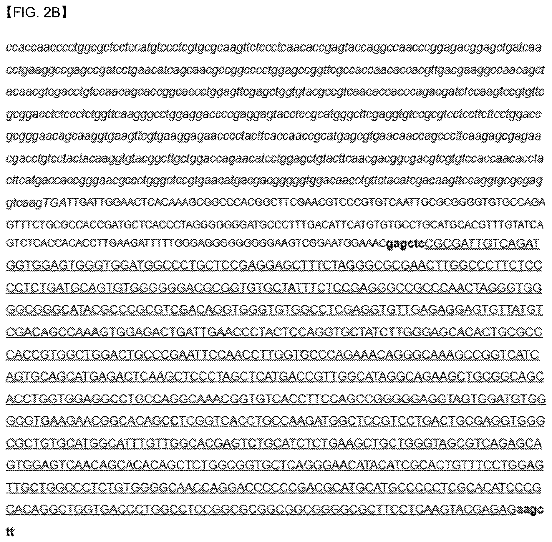 Patent US12618088 Figure 3 – Production of lipids and terpenoids in Auxenochlorella protothecoides