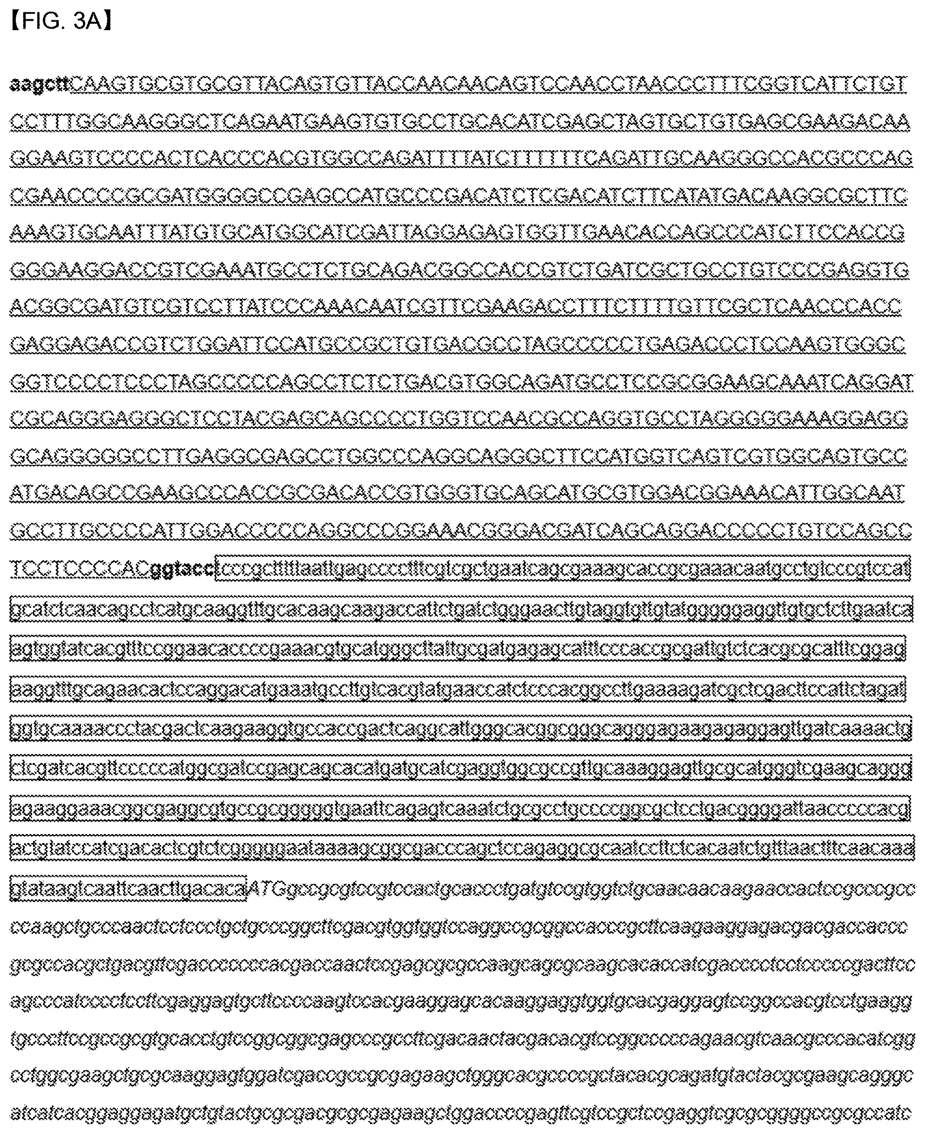 Patent US12618088 Figure 4 – Production of lipids and terpenoids in Auxenochlorella protothecoides
