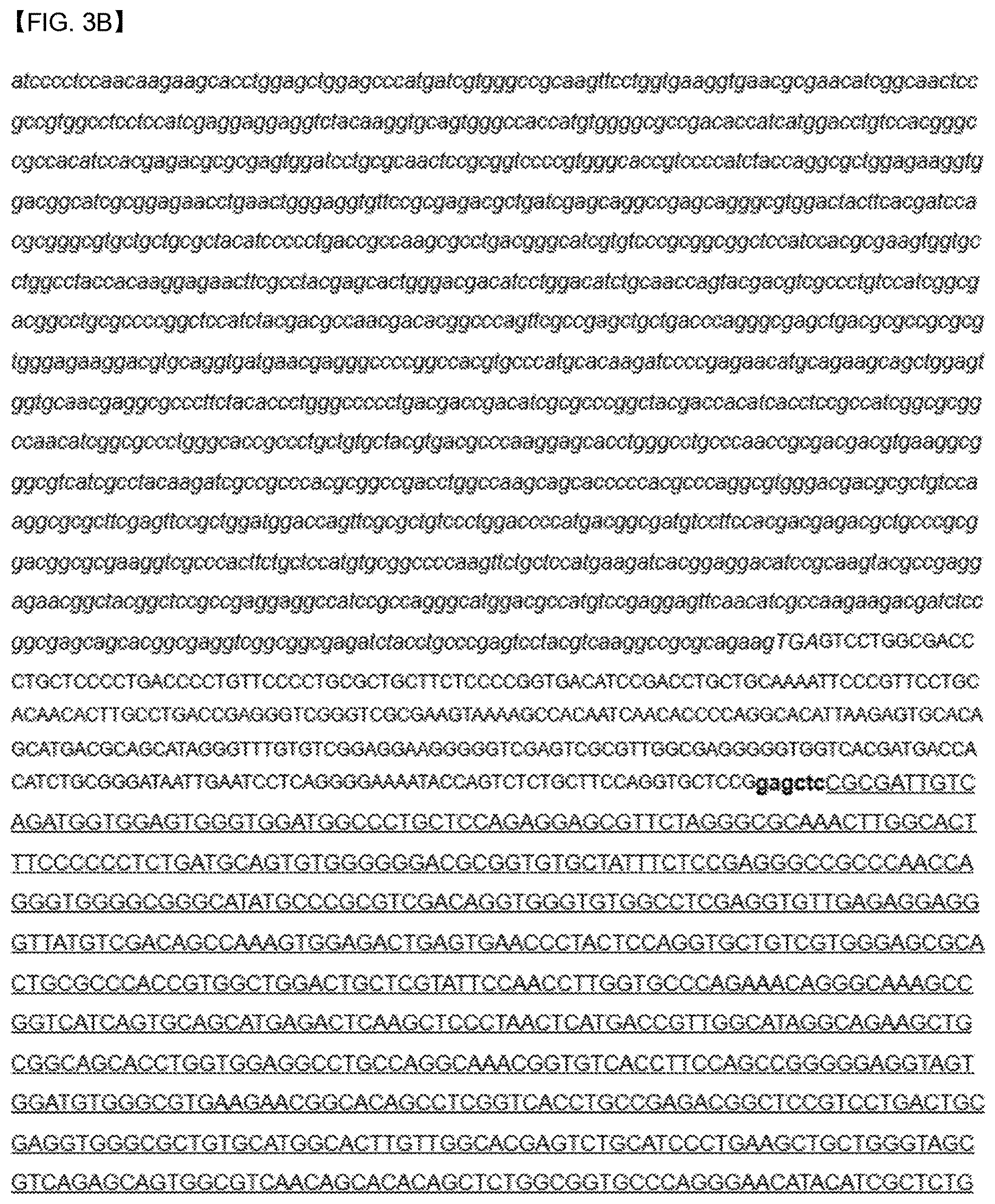 Patent US12618088 Figure 5 – Production of lipids and terpenoids in Auxenochlorella protothecoides