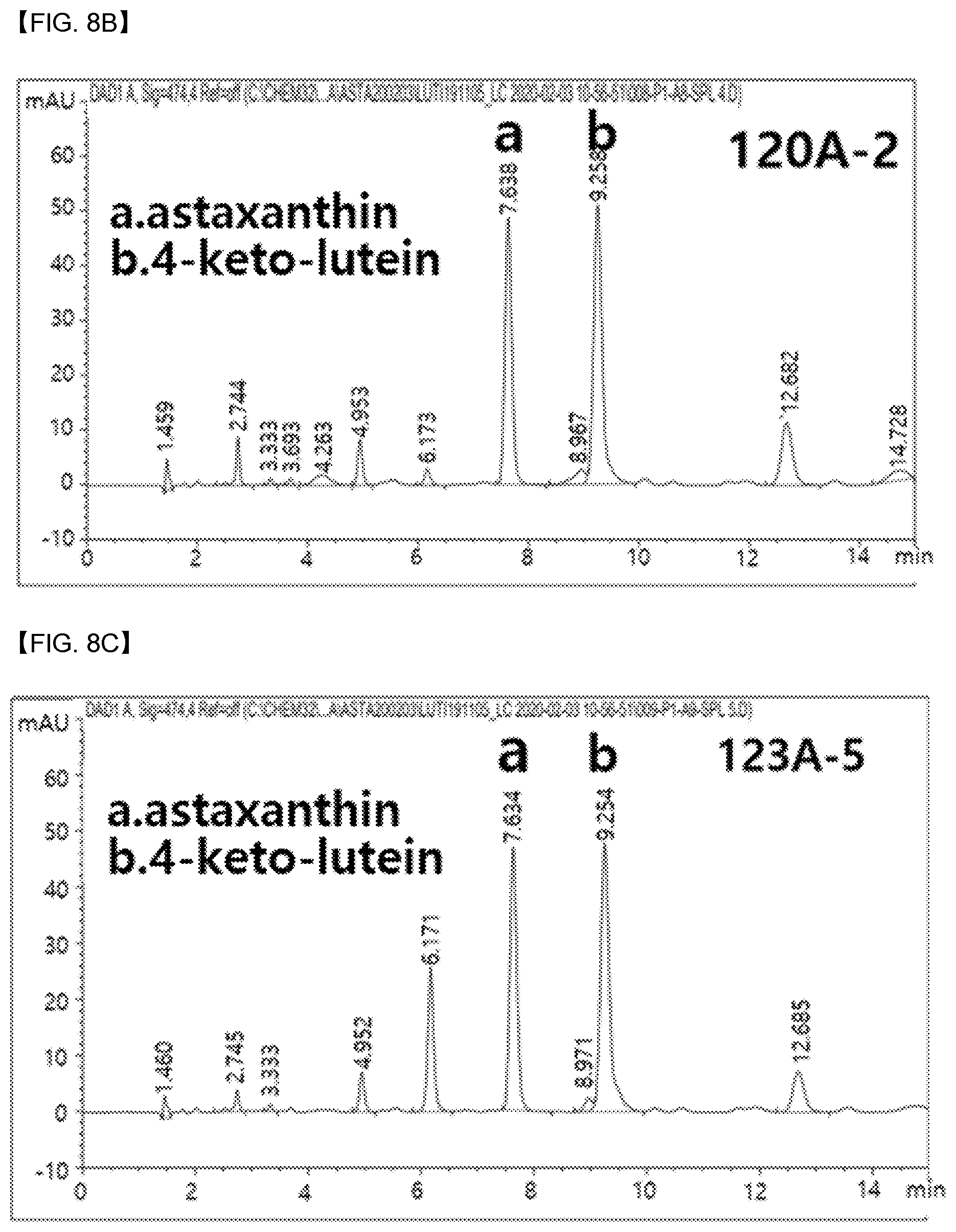 Patent US12618088 Figure 12 – Production of lipids and terpenoids in Auxenochlorella protothecoides