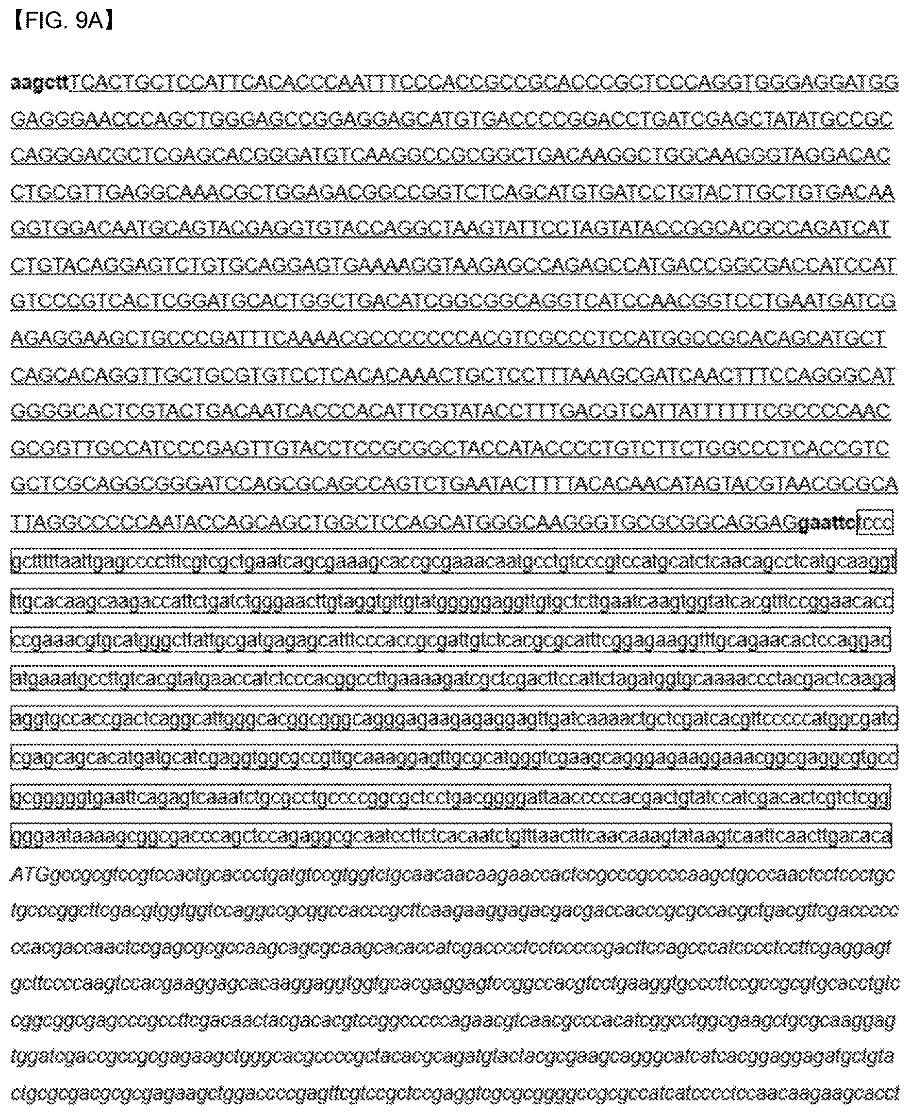 Patent US12618088 Figure 14 – Production of lipids and terpenoids in Auxenochlorella protothecoides