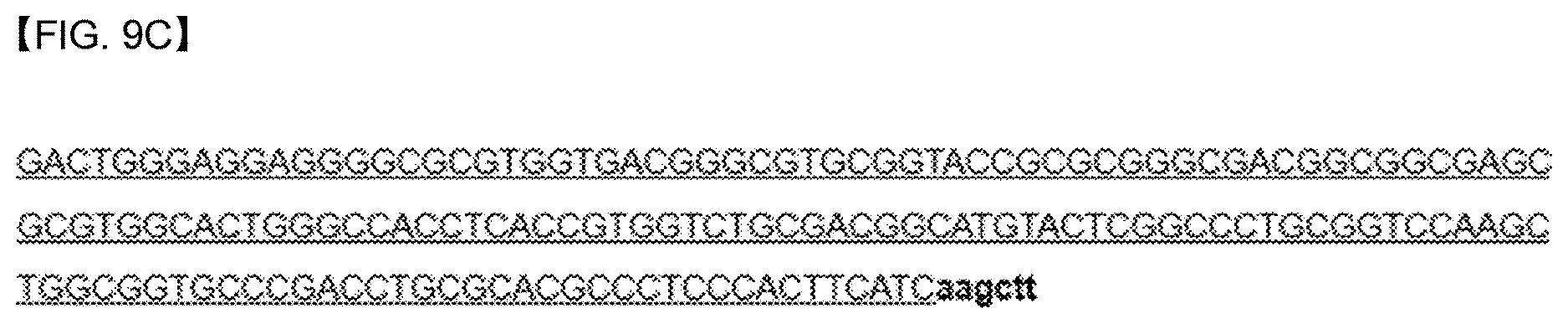 Patent US12618088 Figure 16 – Production of lipids and terpenoids in Auxenochlorella protothecoides