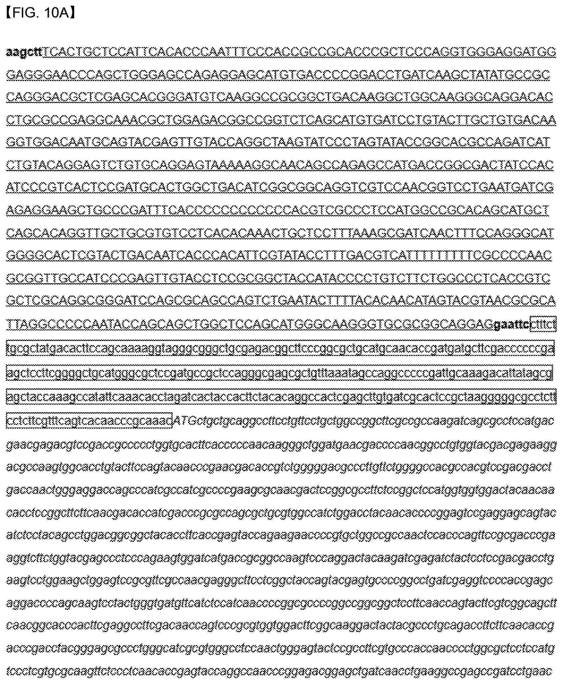 Patent US12618088 Figure 17 – Production of lipids and terpenoids in Auxenochlorella protothecoides