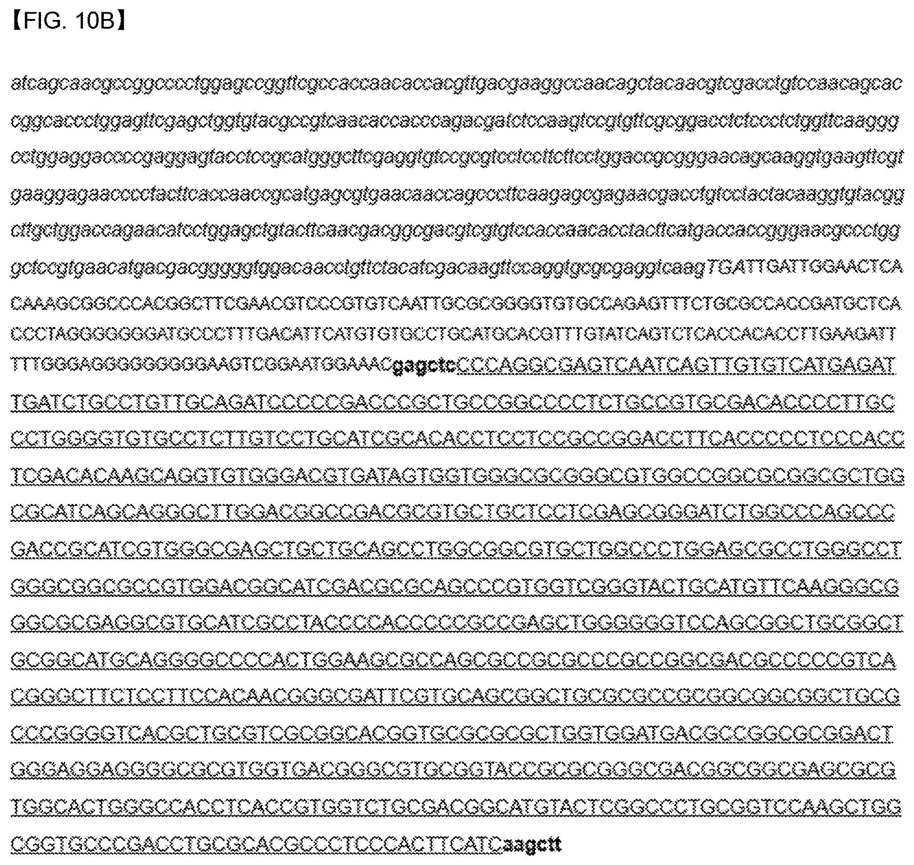 Patent US12618088 Figure 18 – Production of lipids and terpenoids in Auxenochlorella protothecoides