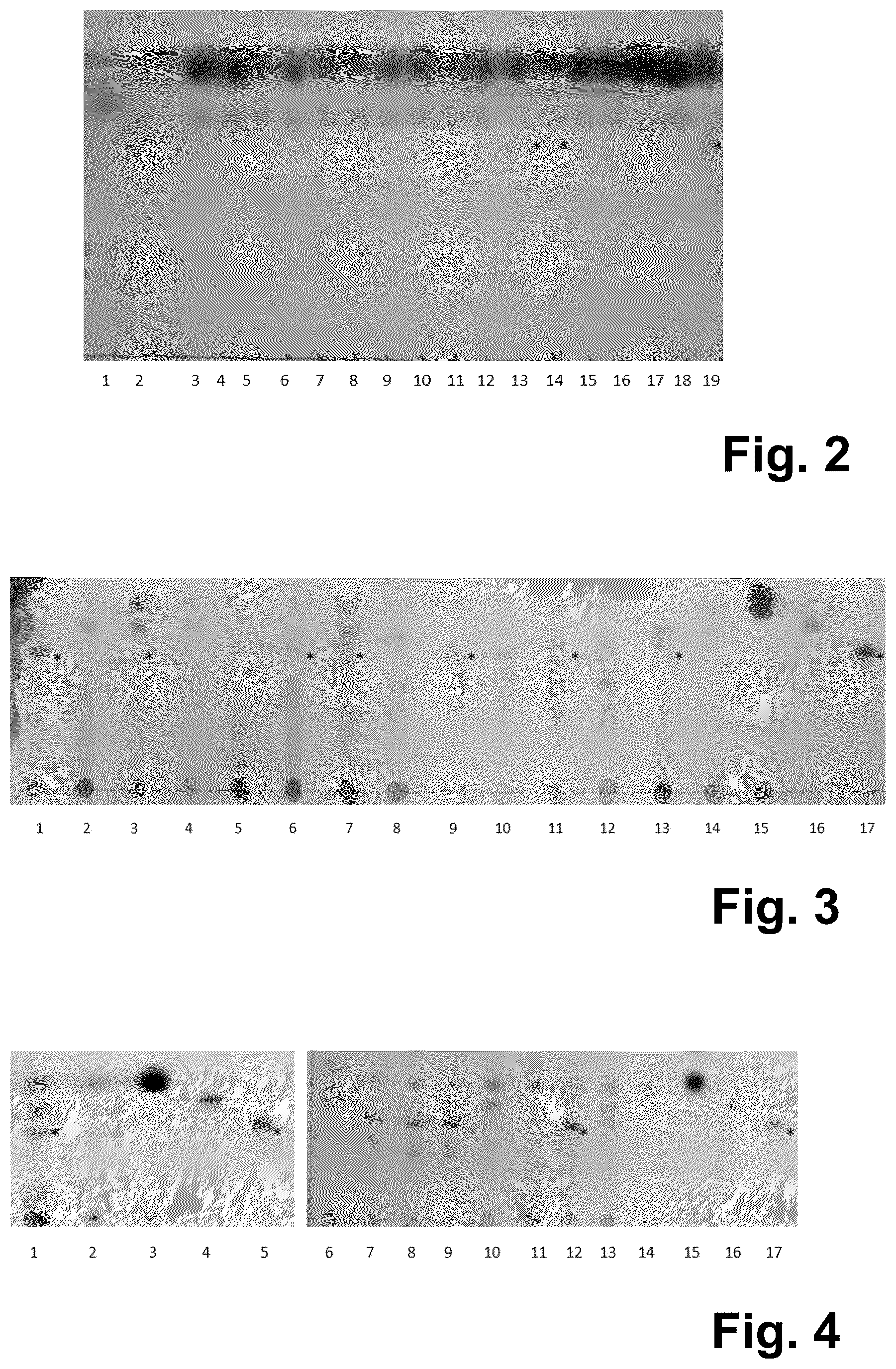 Patent US12618091 Figure 2 – Production of human milk oligosaccharides in microbial hosts with engineered import/export