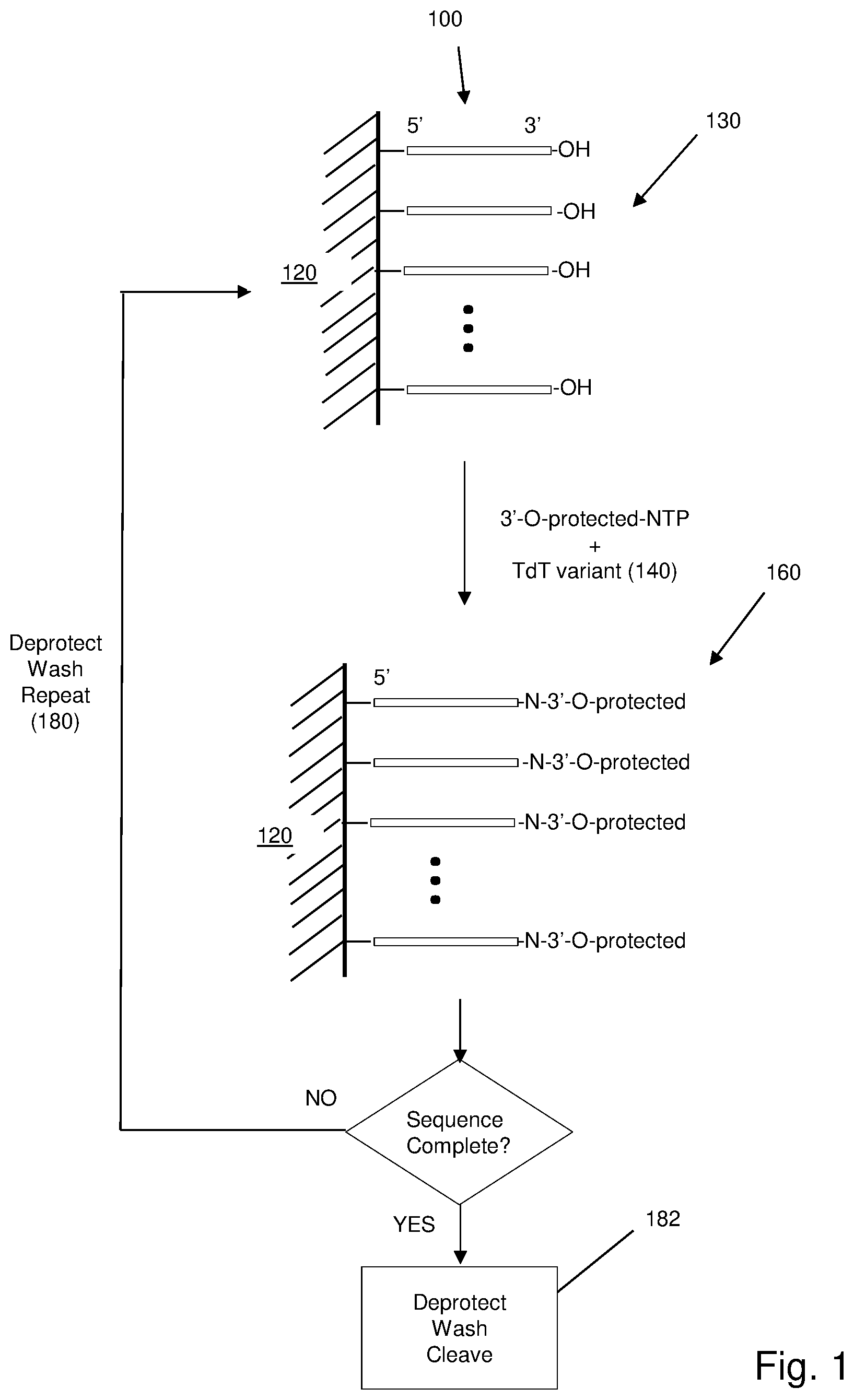 Patent US12618092 Figure 1 – Method and apparatus for enzymatic synthesis of polynucleotides