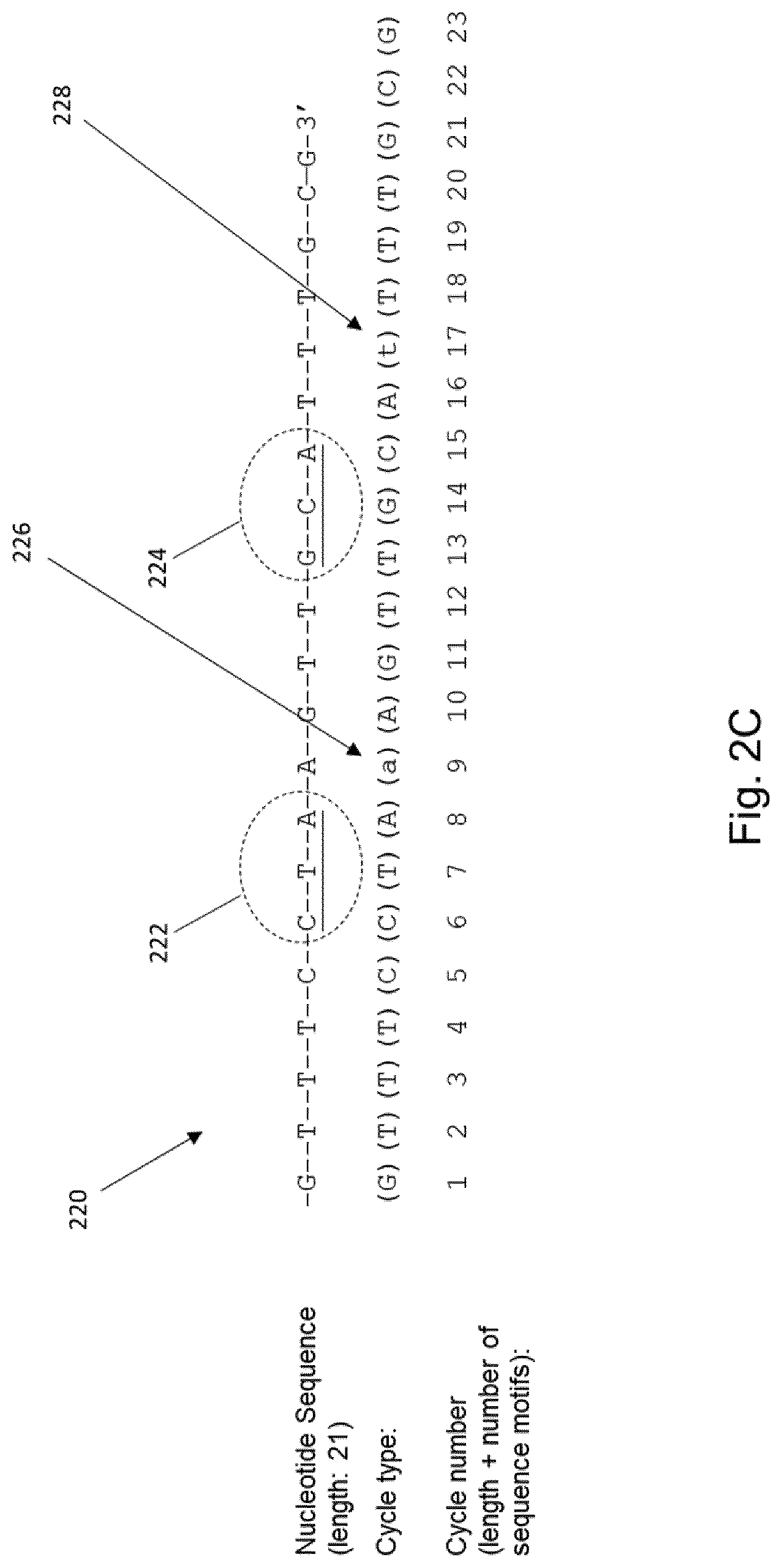 Patent US12618092 Figure 3 – Method and apparatus for enzymatic synthesis of polynucleotides