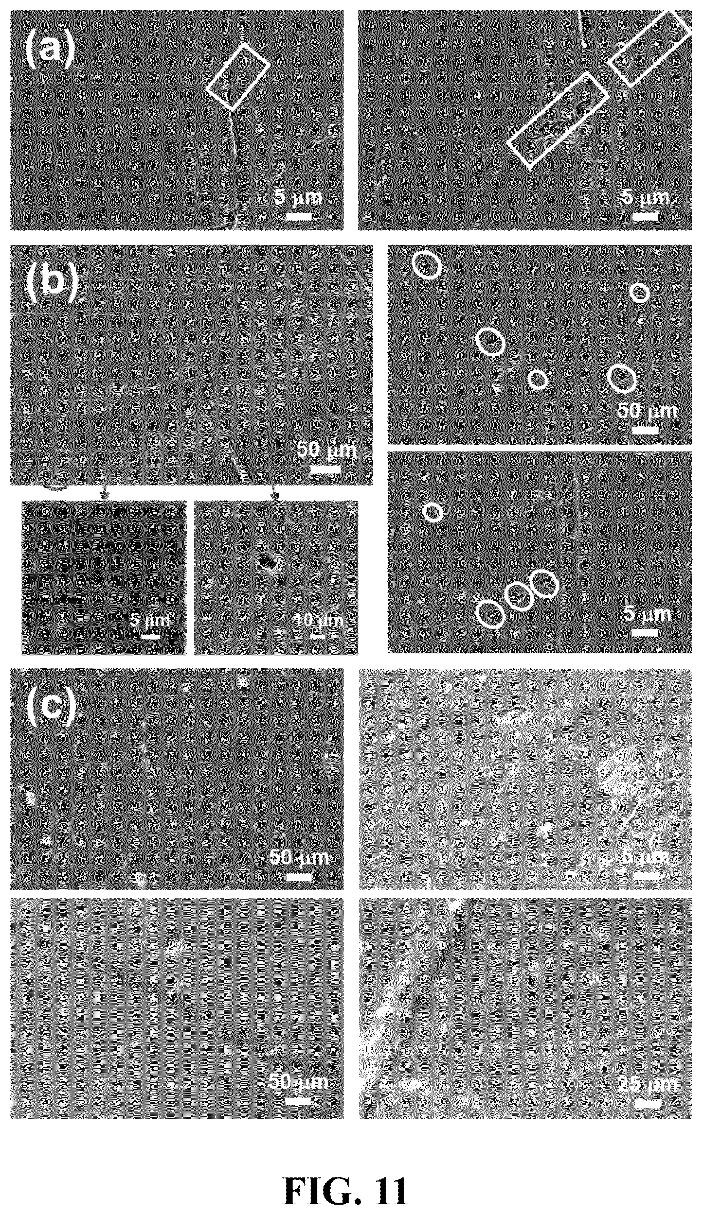 Patent US12618093 Figure 11 – Method, an electrochemical sensor and a system for selective detection of infections