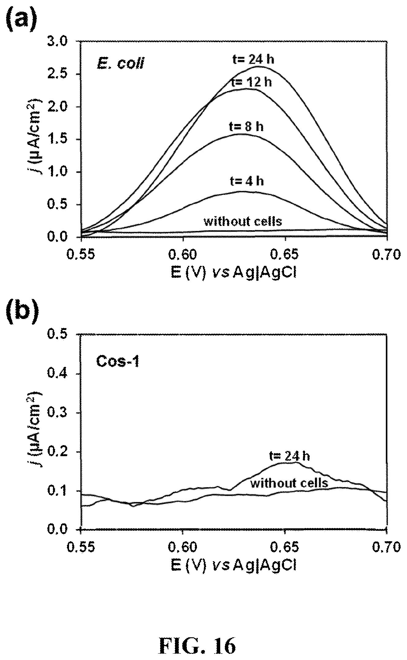 Patent US12618093 Figure 16 – Method, an electrochemical sensor and a system for selective detection of infections